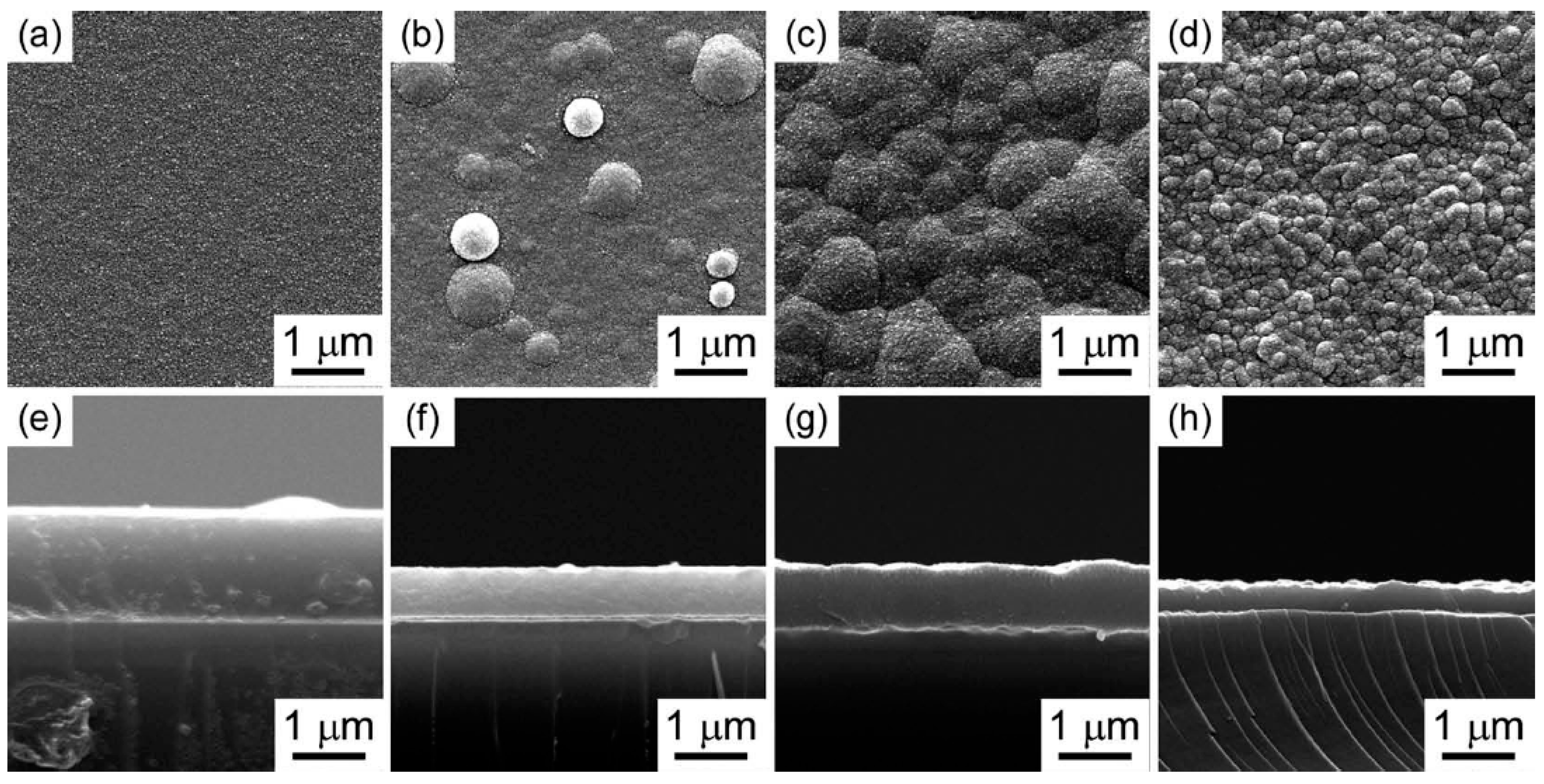 Materials 16 06099 g005