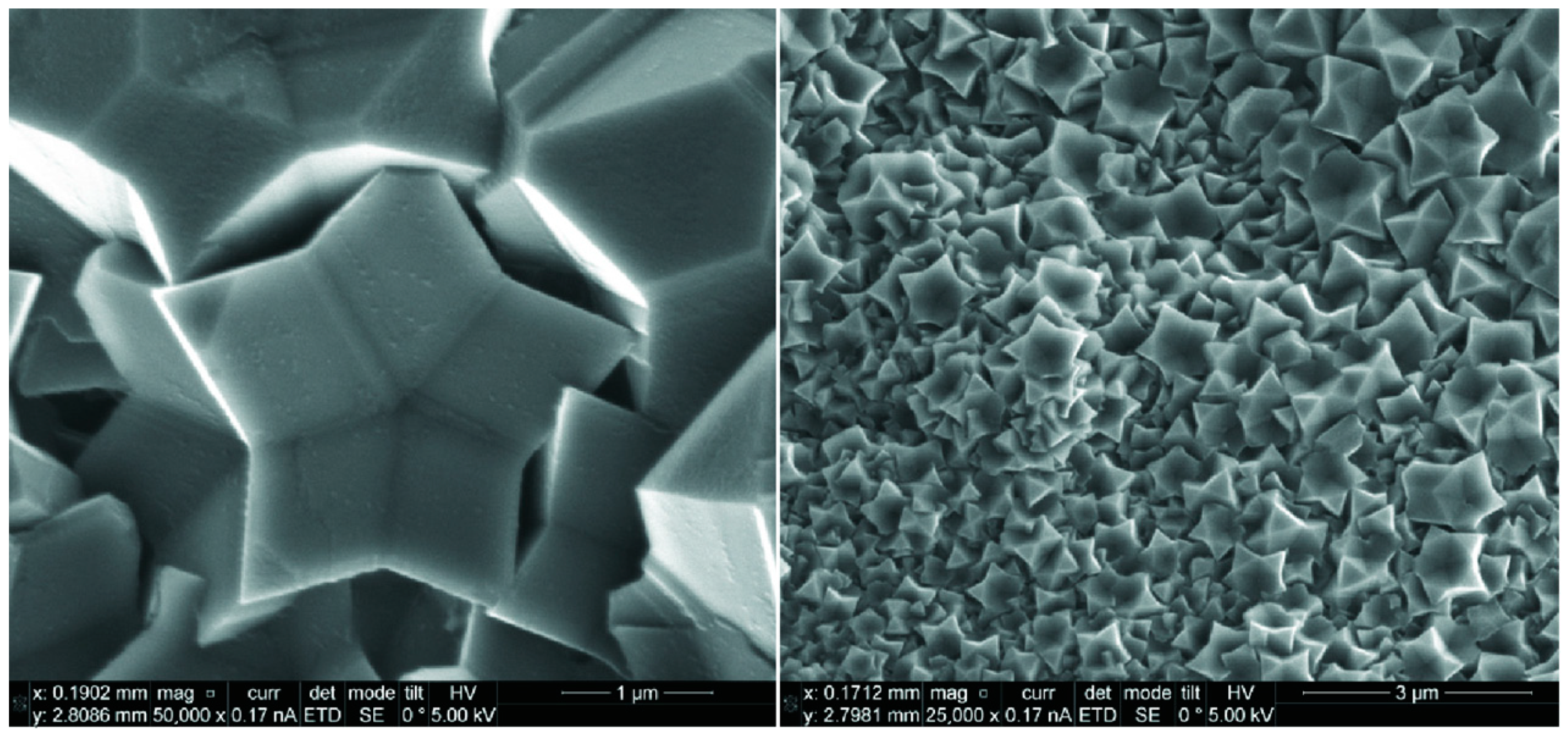 Materials 16 06099 g007