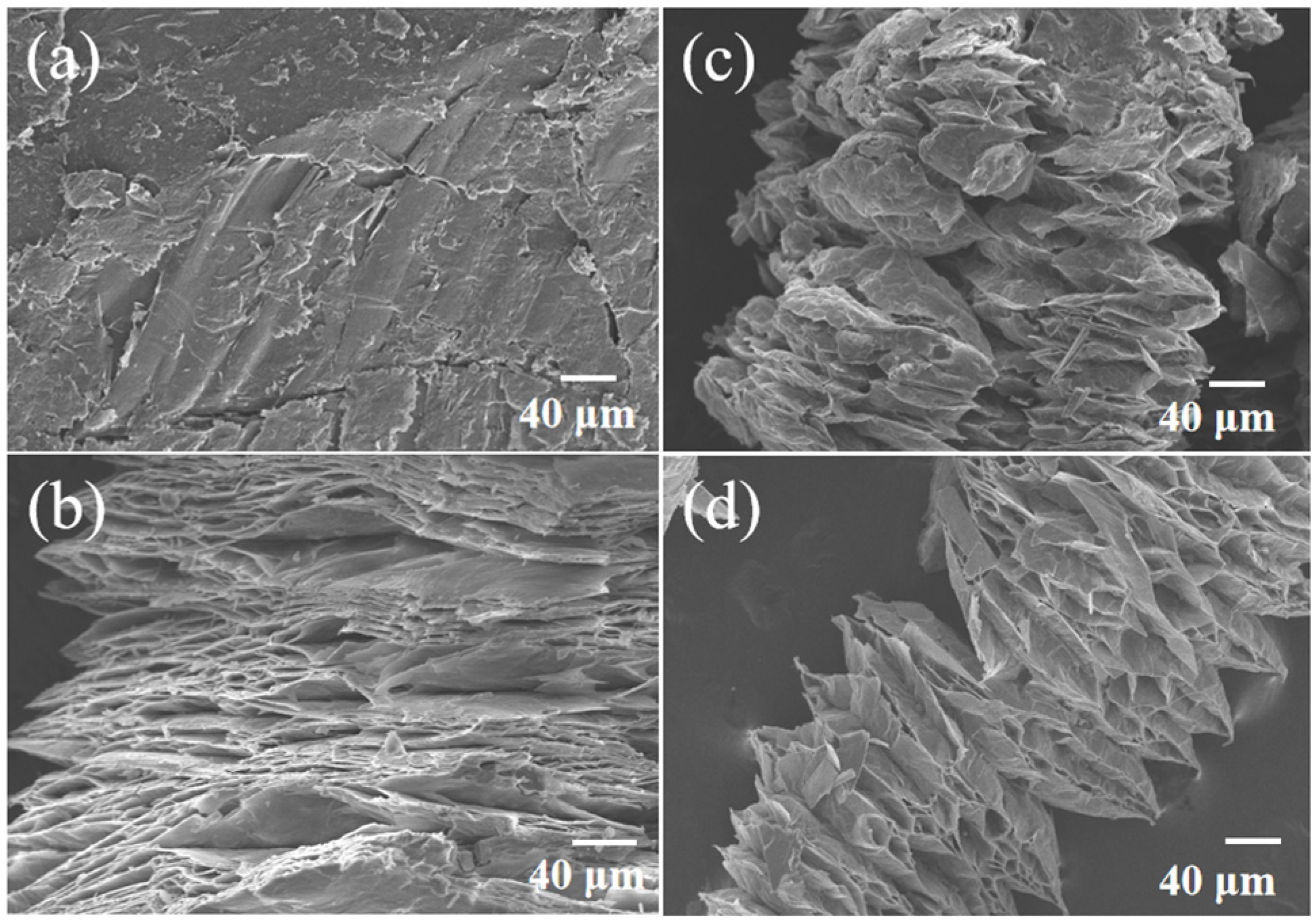 Materials 16 06101 g002