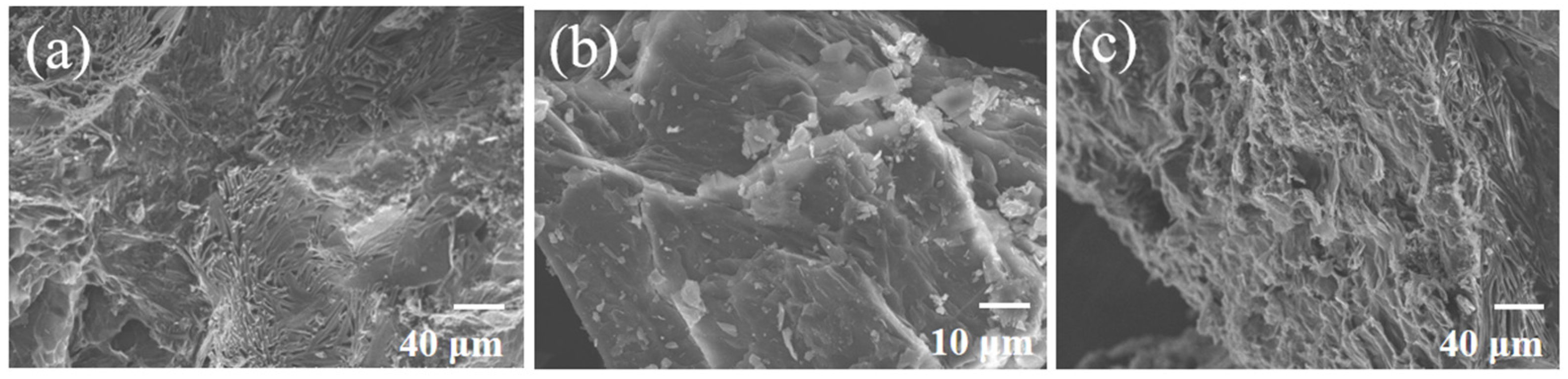 Materials 16 06101 g005