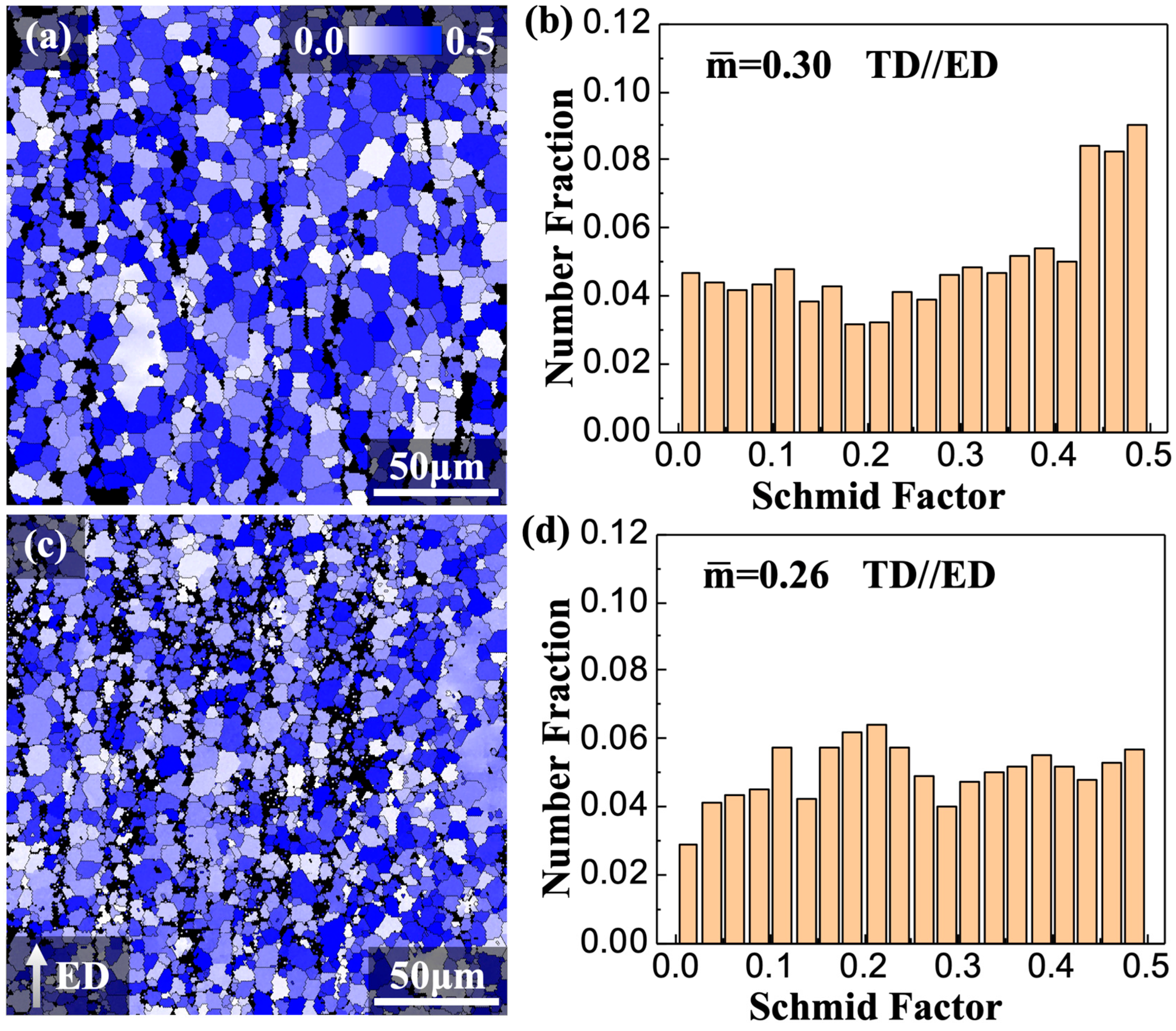 Materials 16 06103 g008