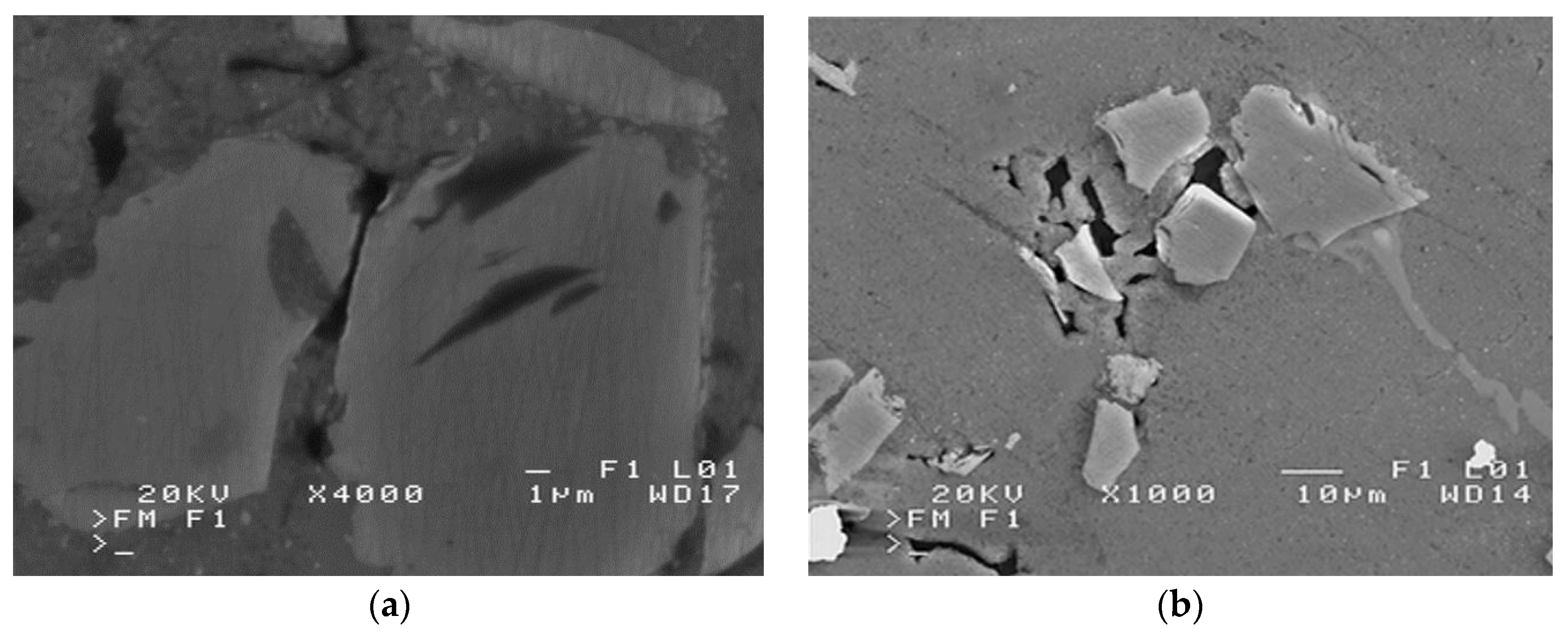 Materials 16 06106 g001