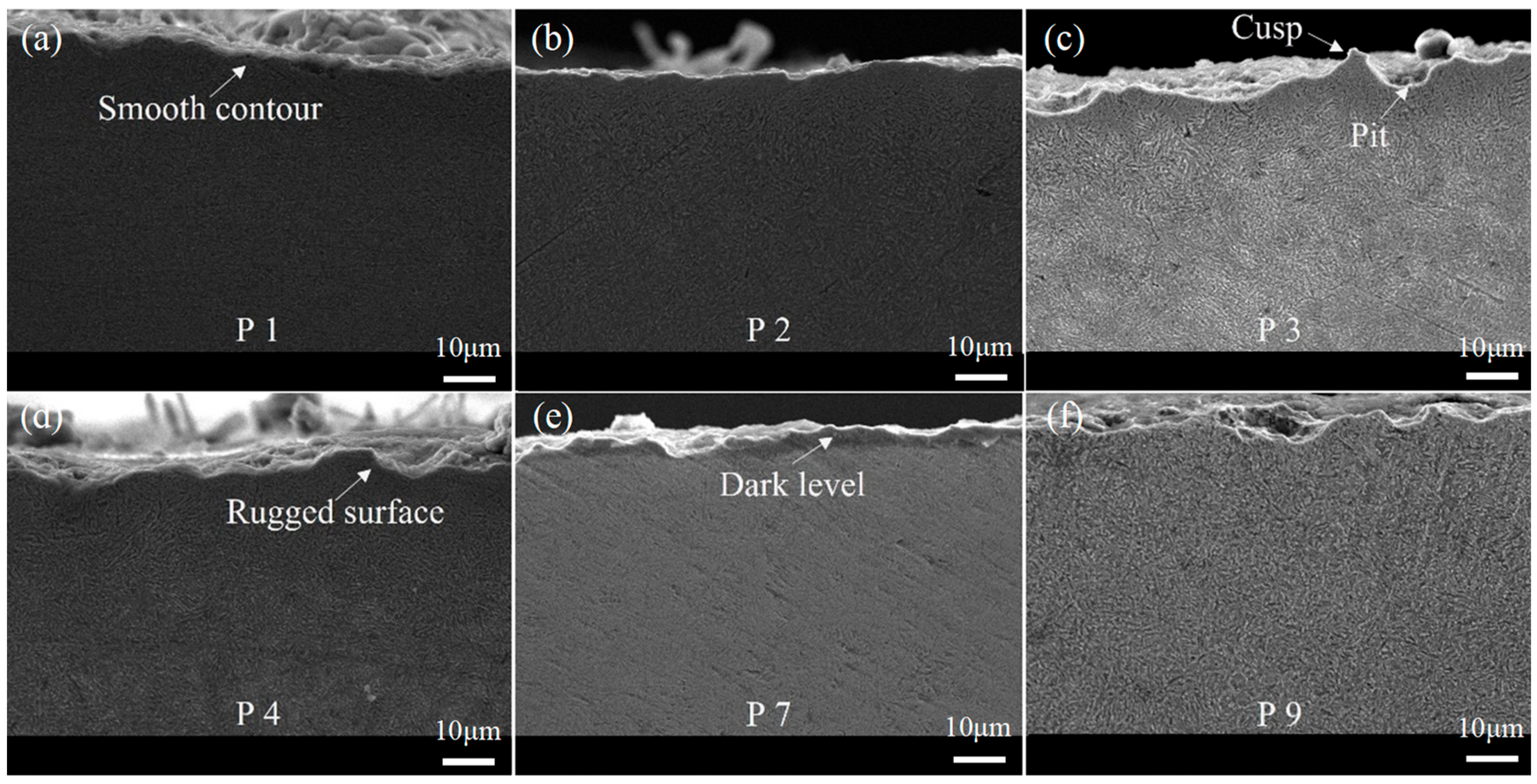 Materials 16 06111 g010