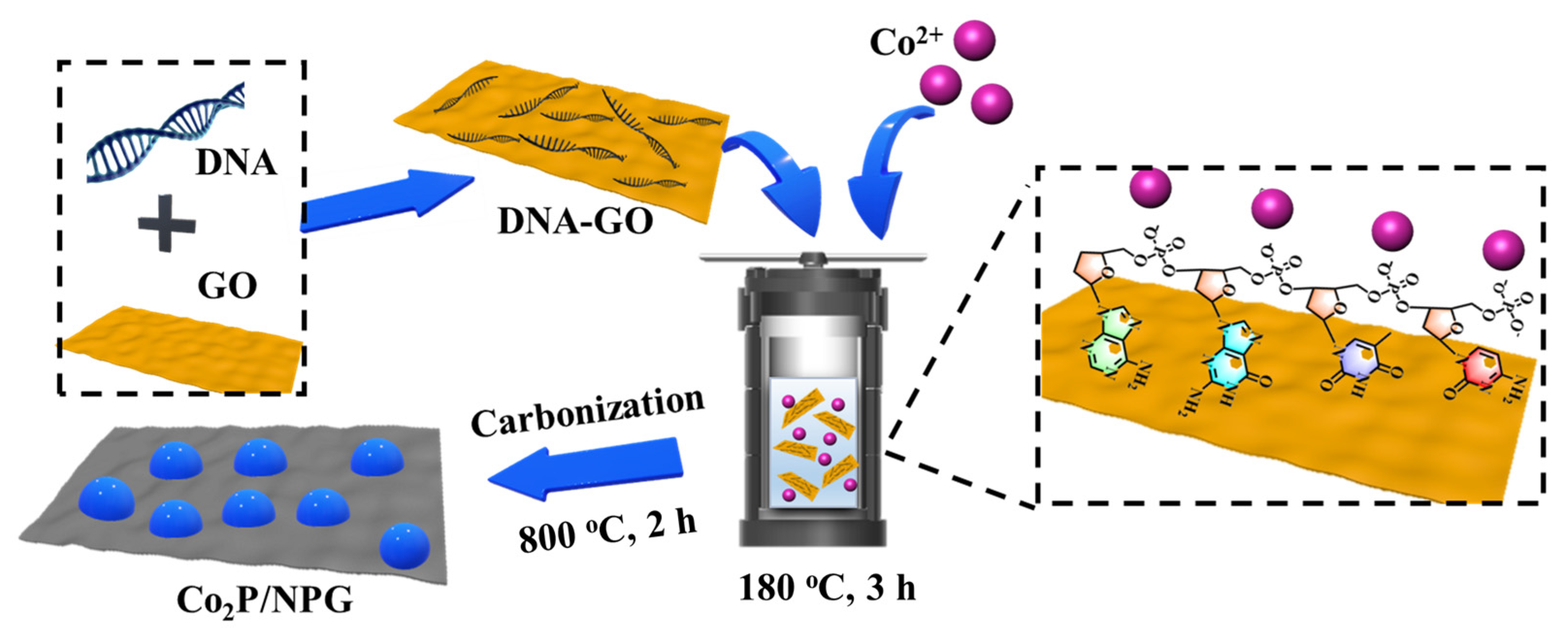 Materials 16 06119 g001