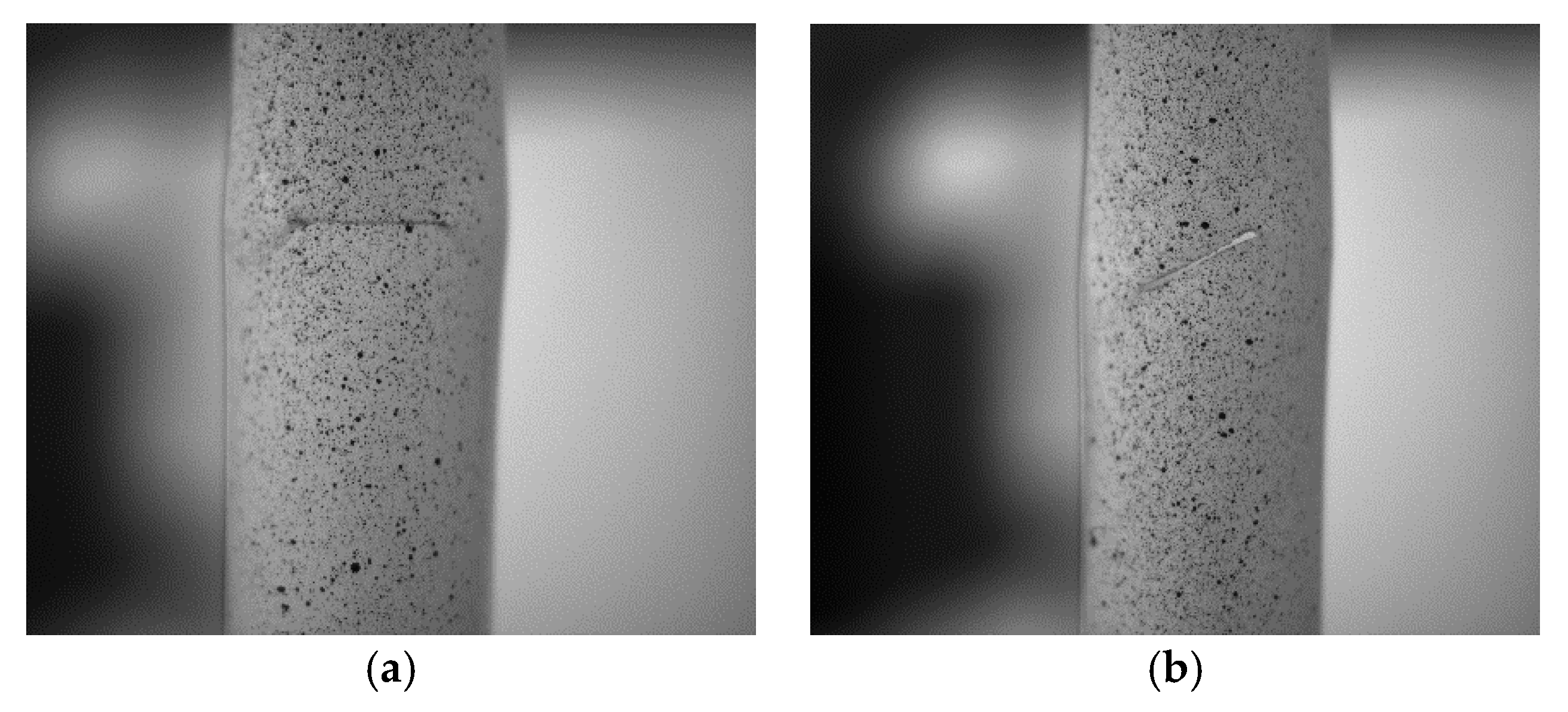 Materials 16 06123 g006 Materials 16 06123 g006