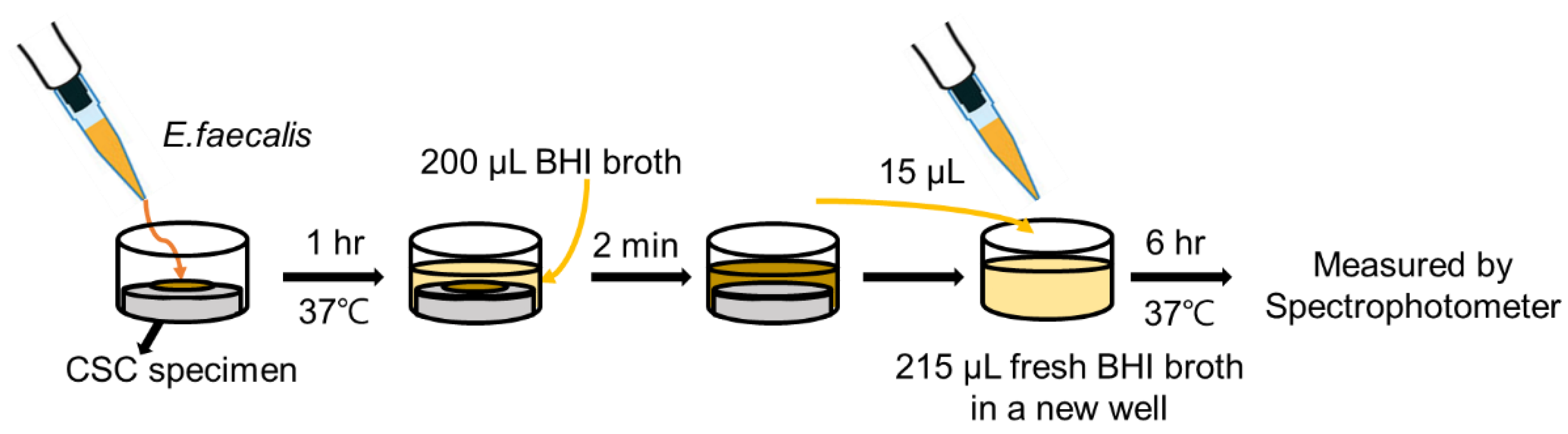 Materials 16 06124 g001