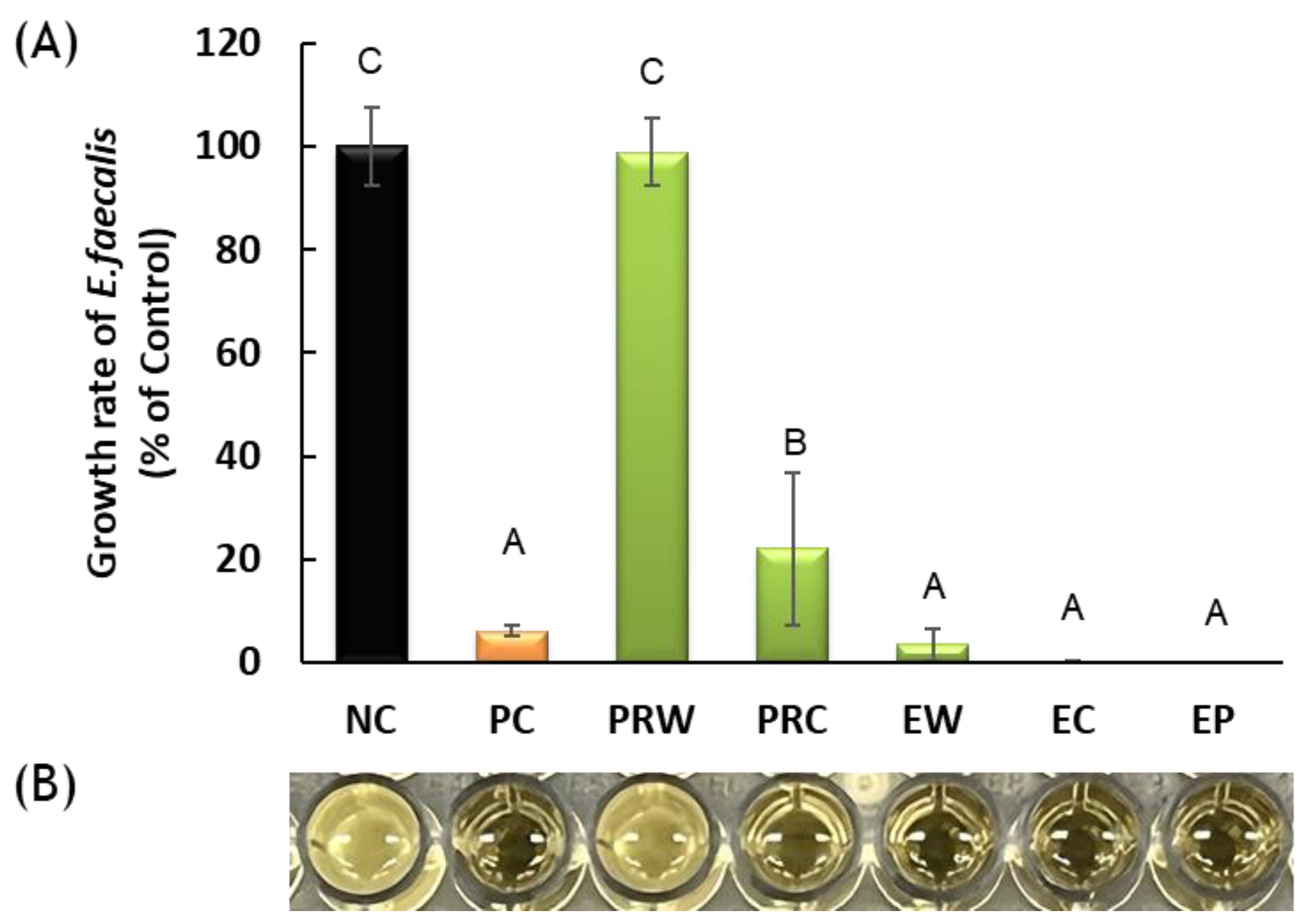 Materials 16 06124 g002