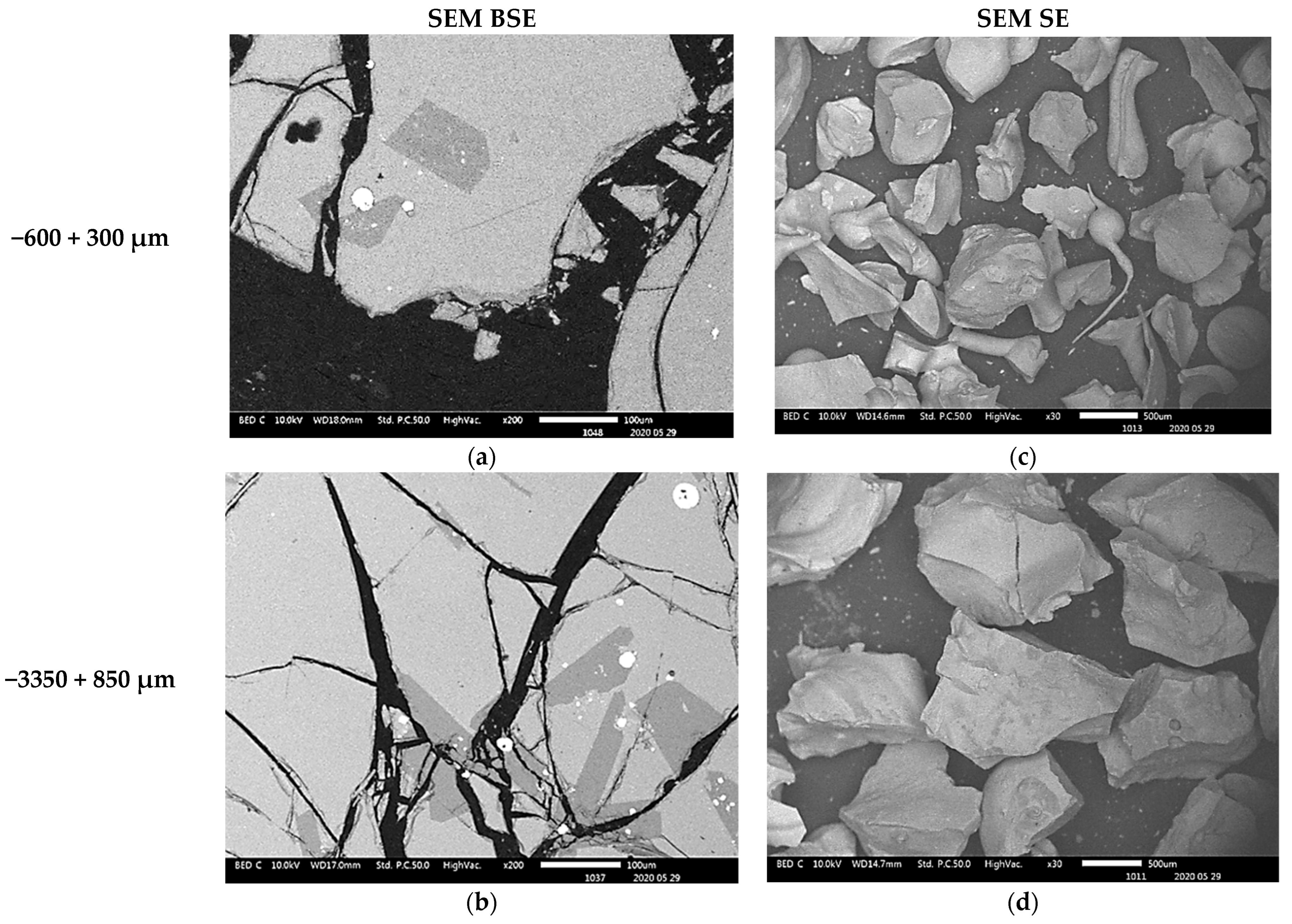 Materials 16 06126 g004