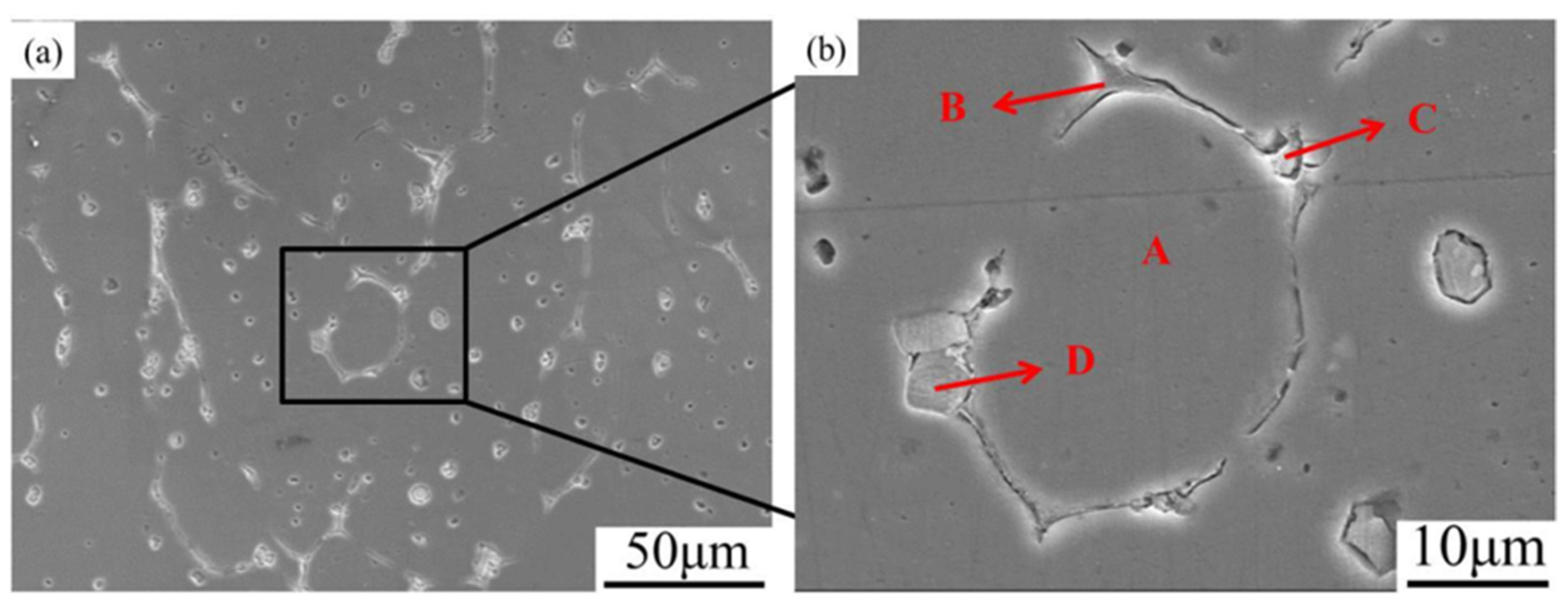 Materials 16 06145 g005