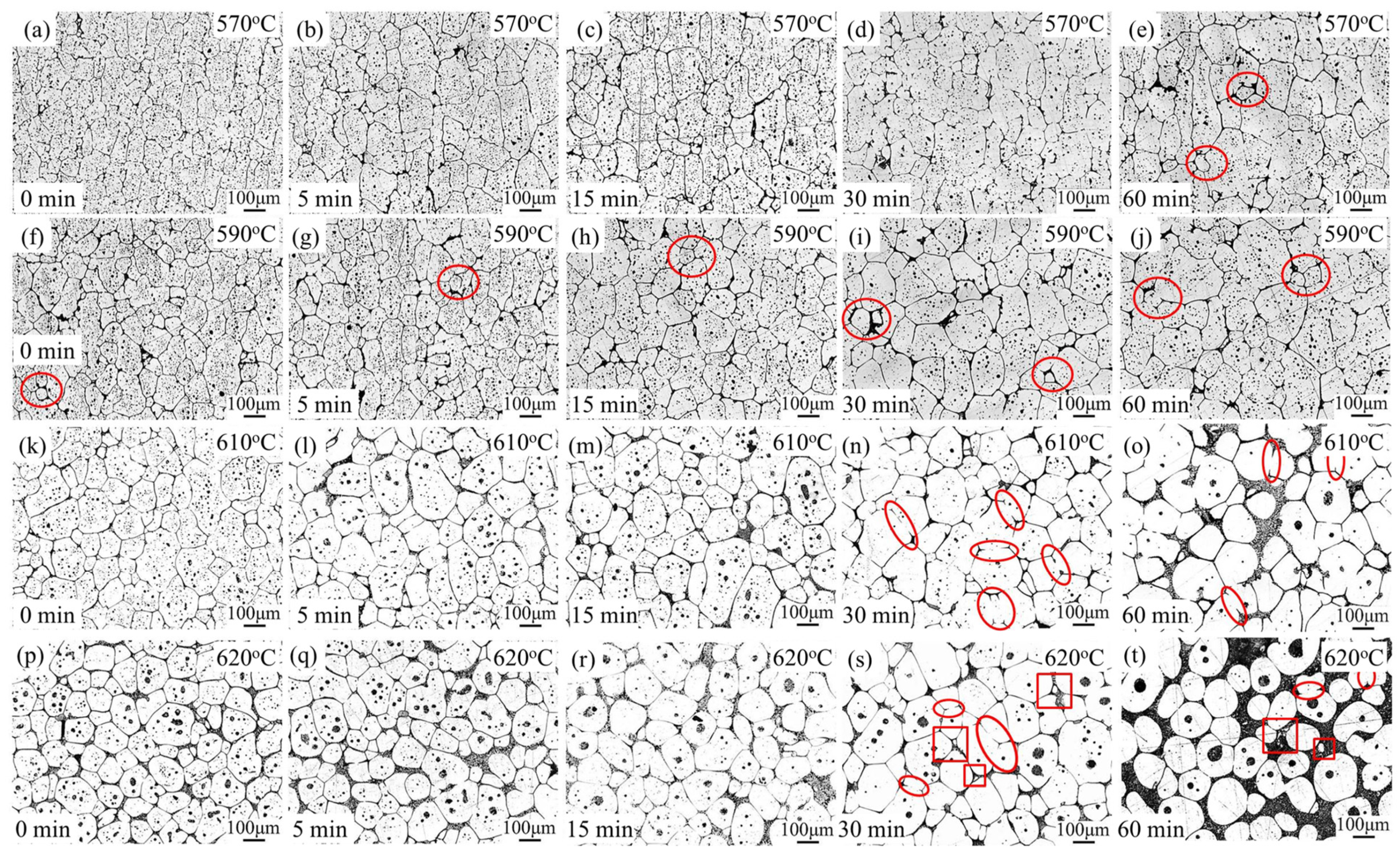 Materials 16 06145 g007