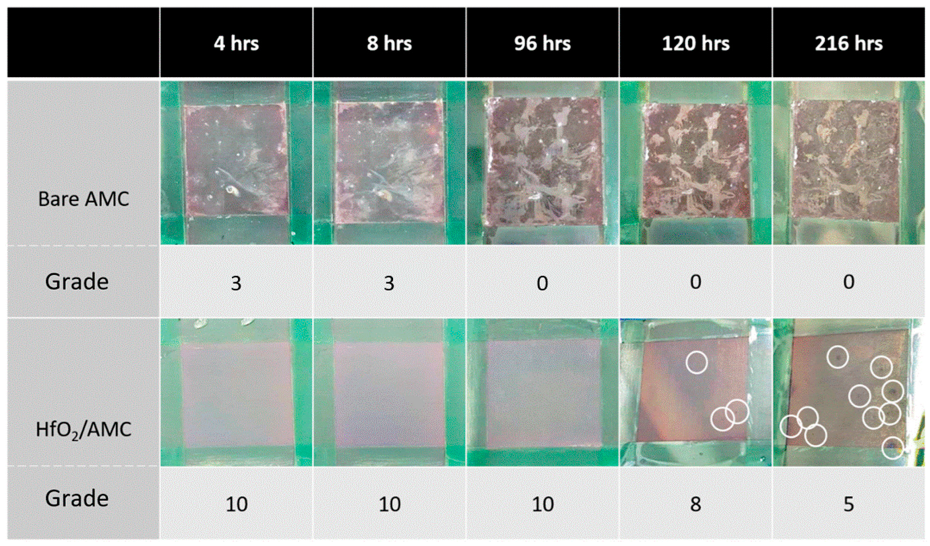 Materials 16 06149 g008