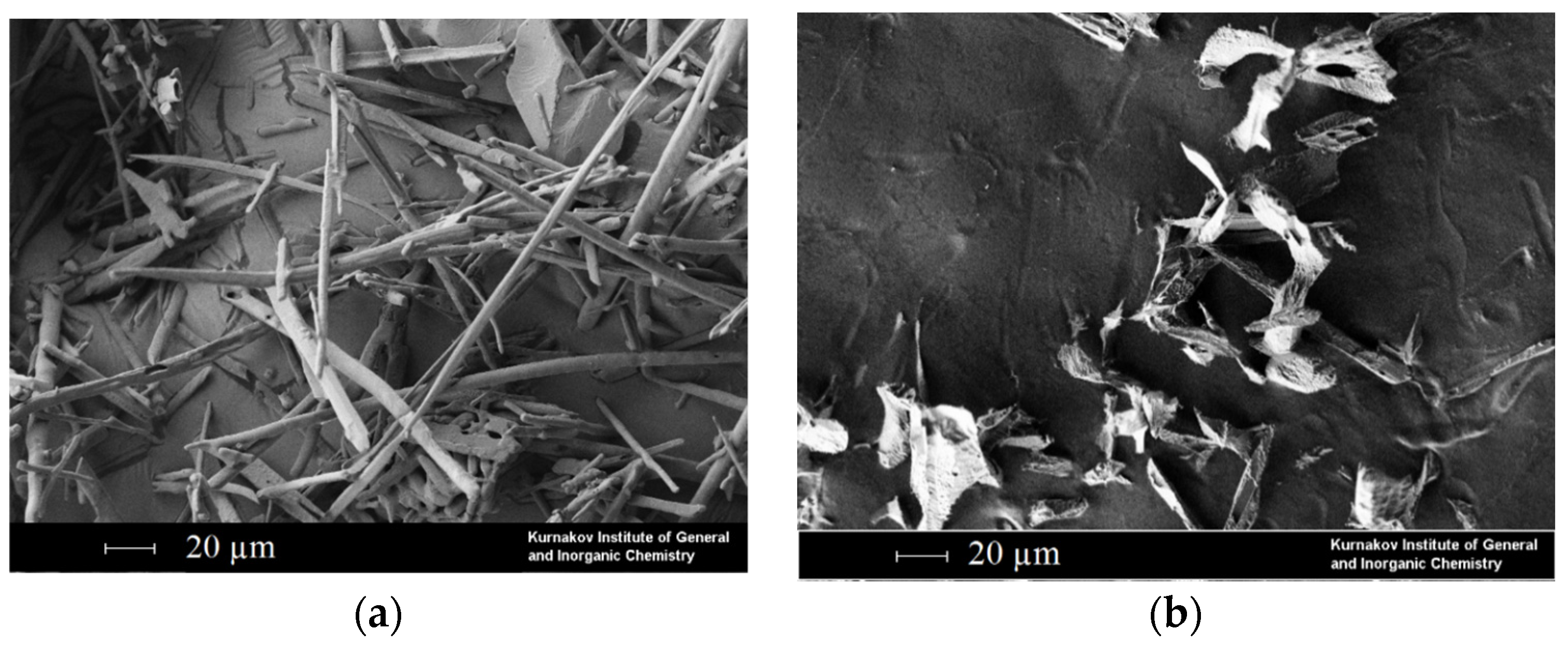 Materials 16 06151 g008a