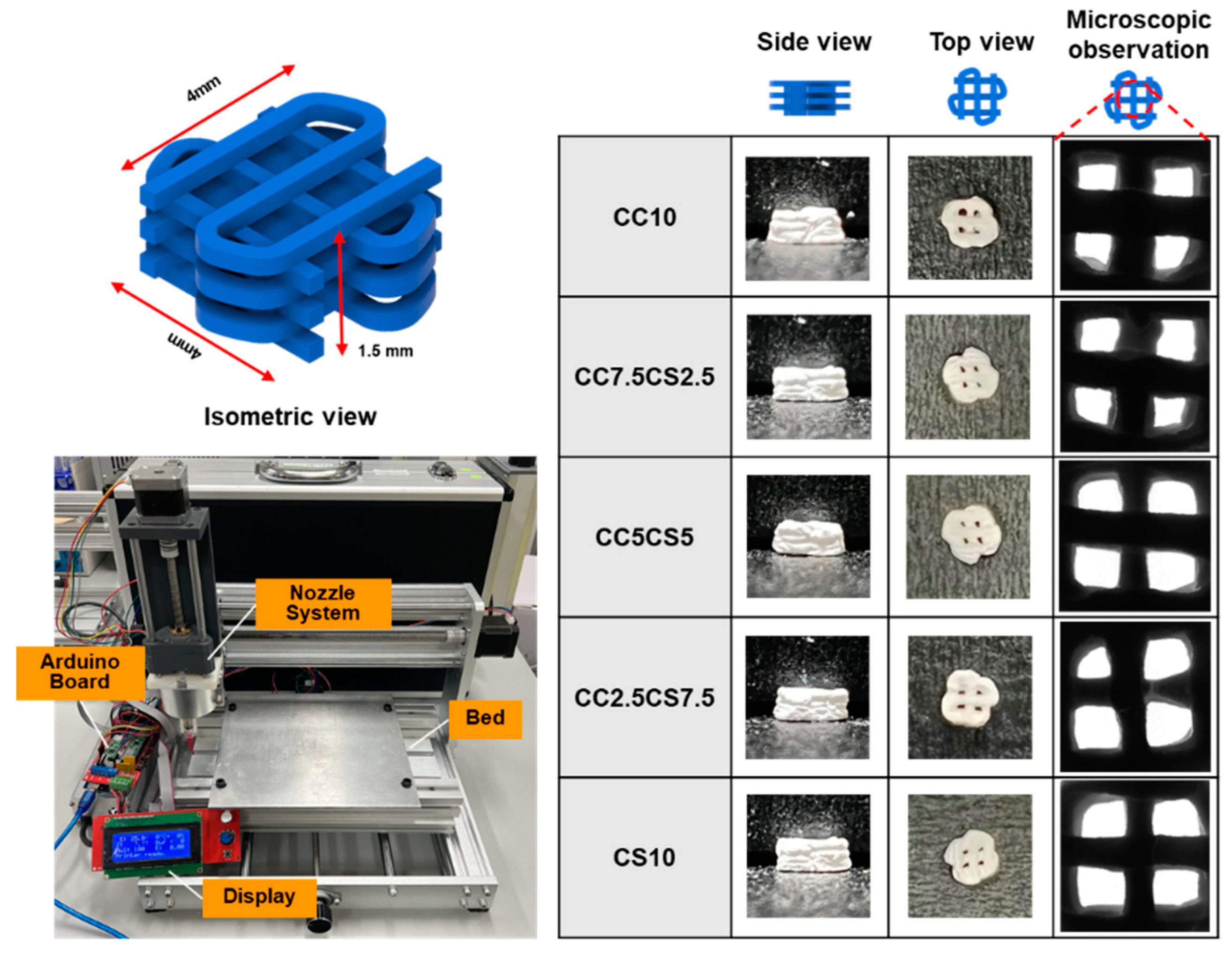 Materials 16 06154 g001