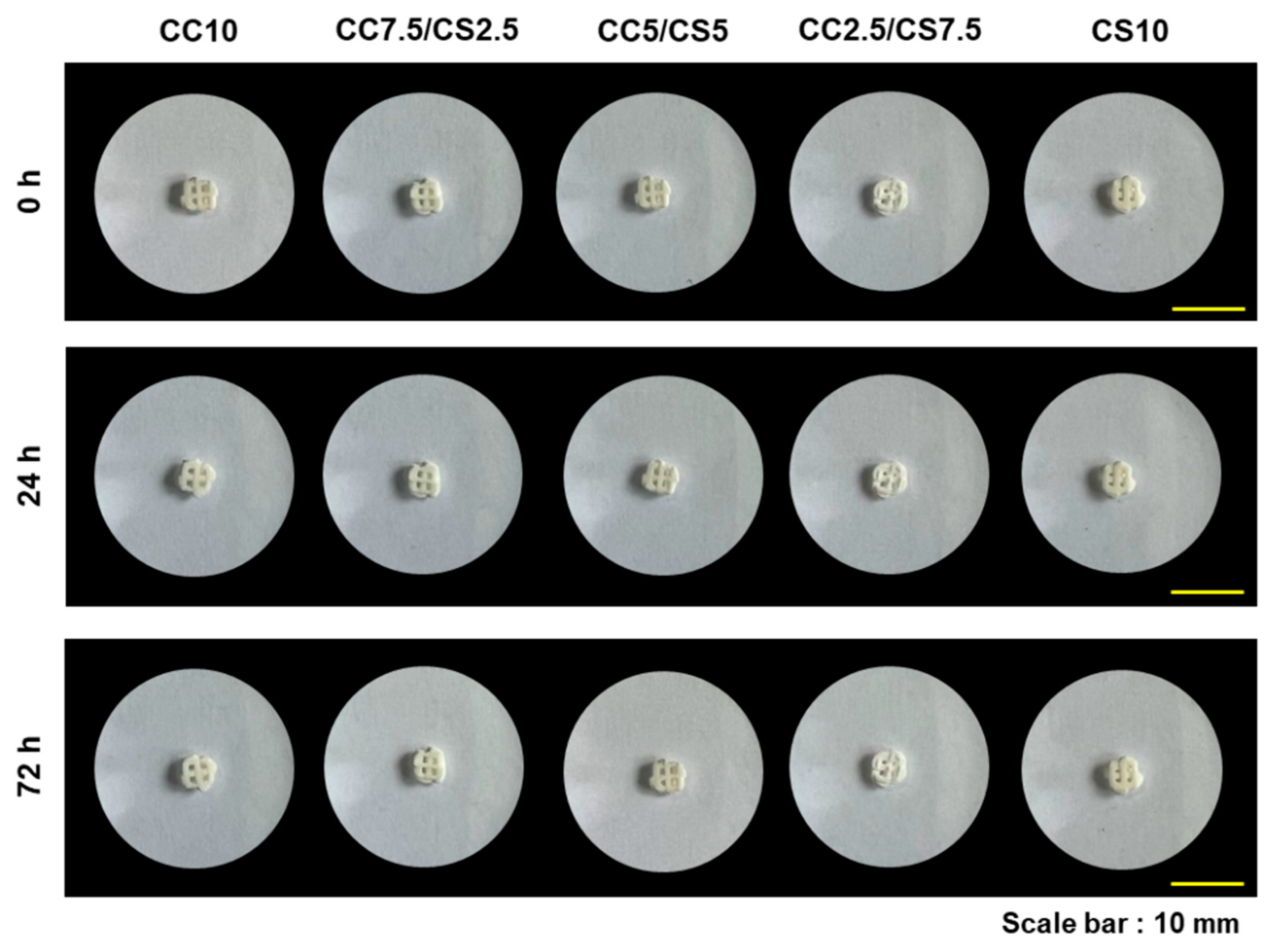 Materials 16 06154 g002