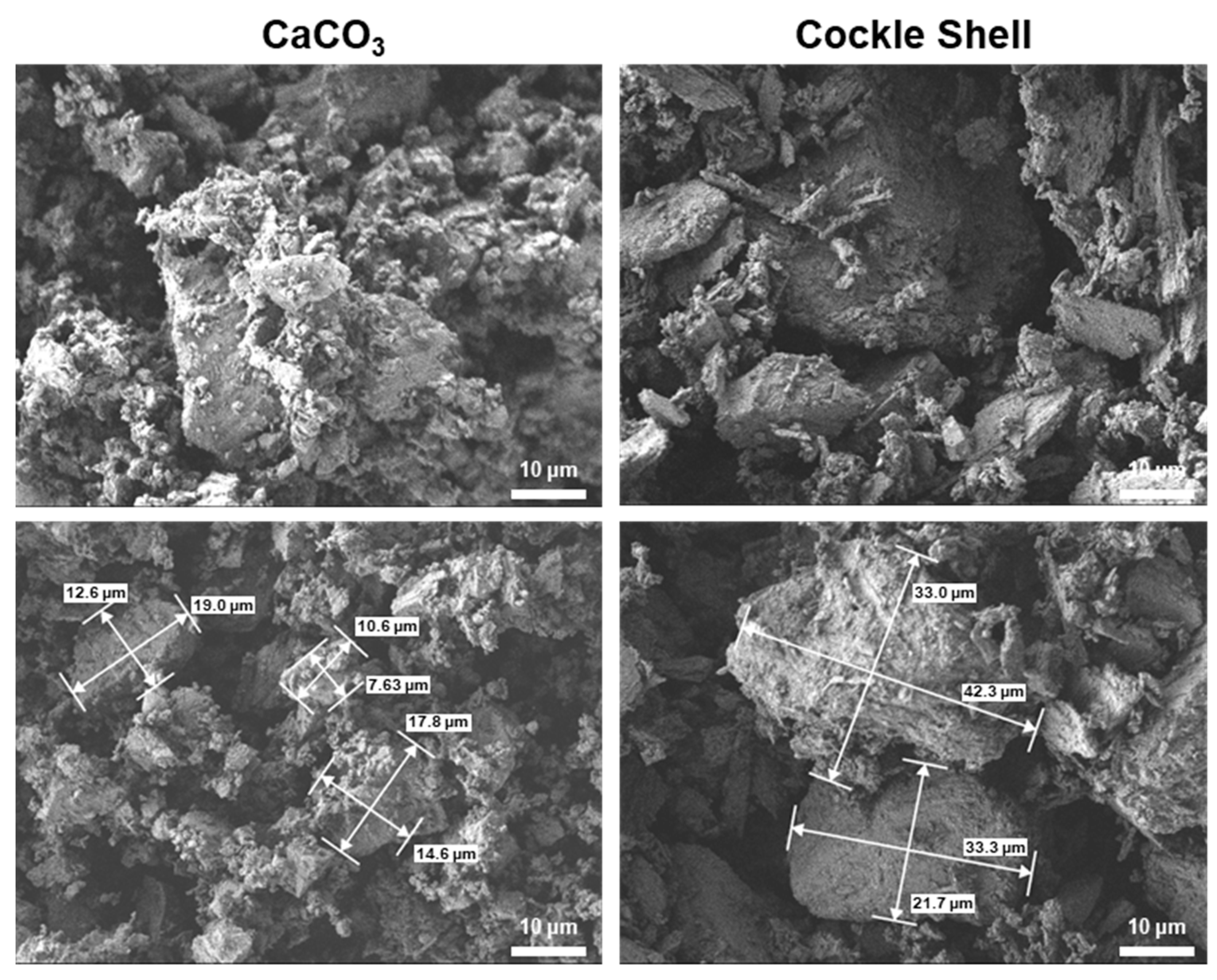 Materials 16 06154 g005