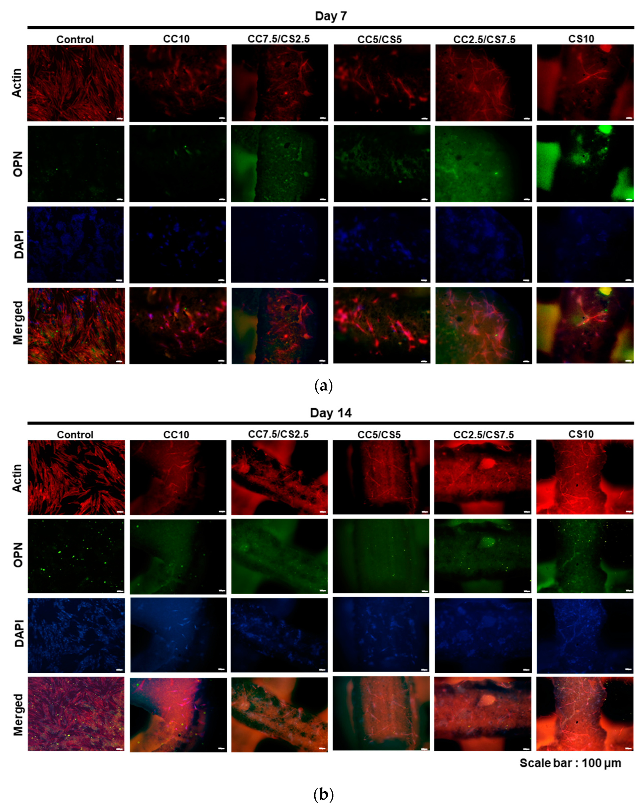 Materials 16 06154 g011