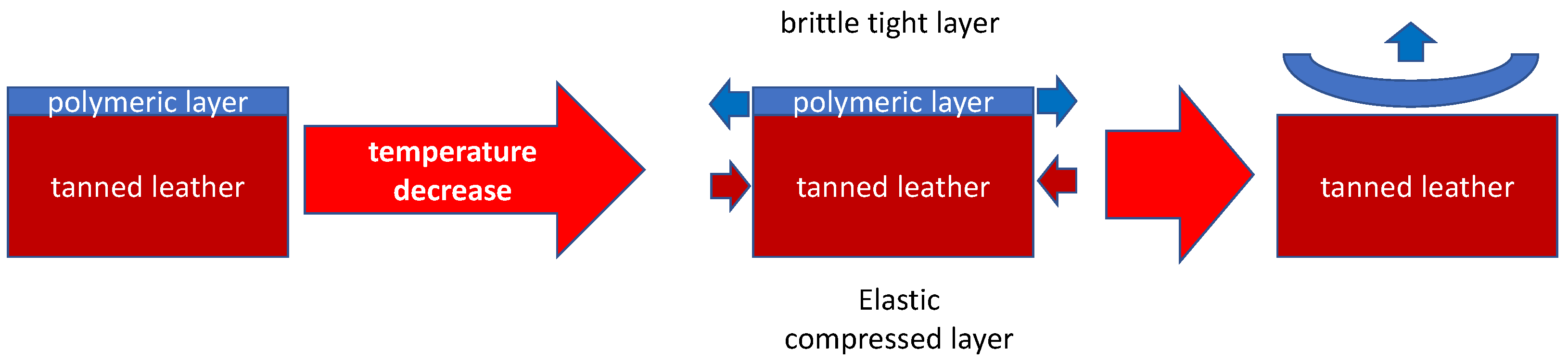 Materials 16 06166 g001 Materials 16 06166 g001