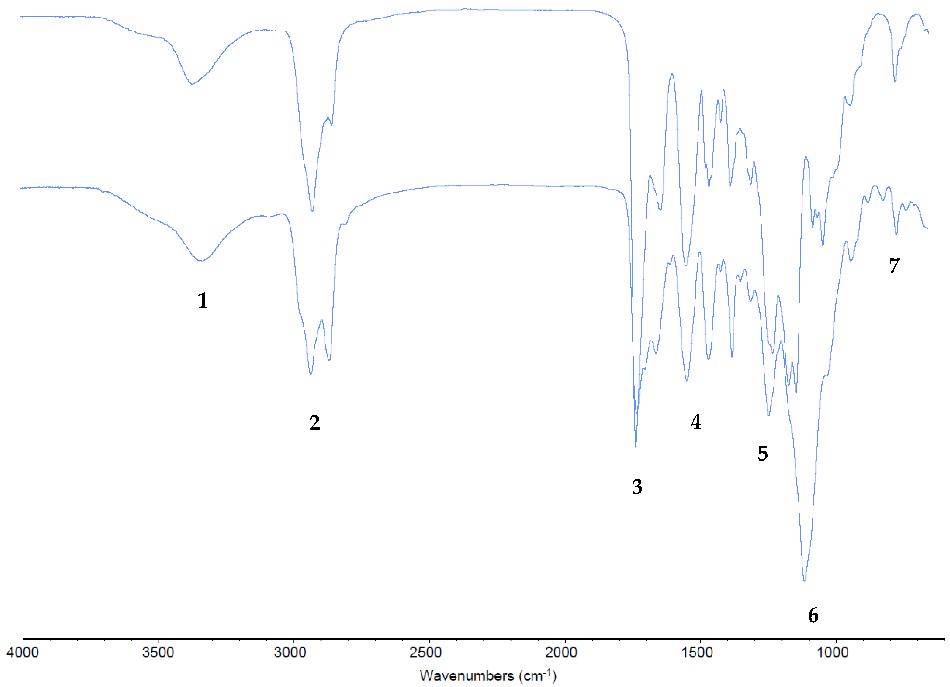 Materials 16 06166 g004 Materials 16 06166 g004