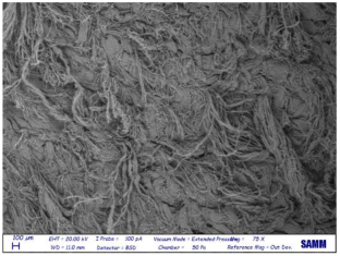 Materials 16 06166 i028 Materials 16 06166 i028