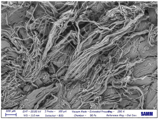 Materials 16 06166 i029 Materials 16 06166 i029