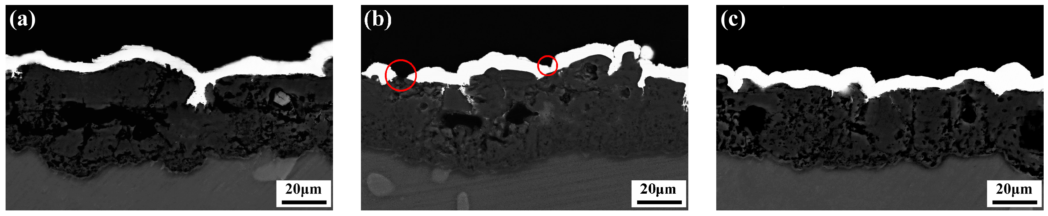 Materials 16 06185 g007