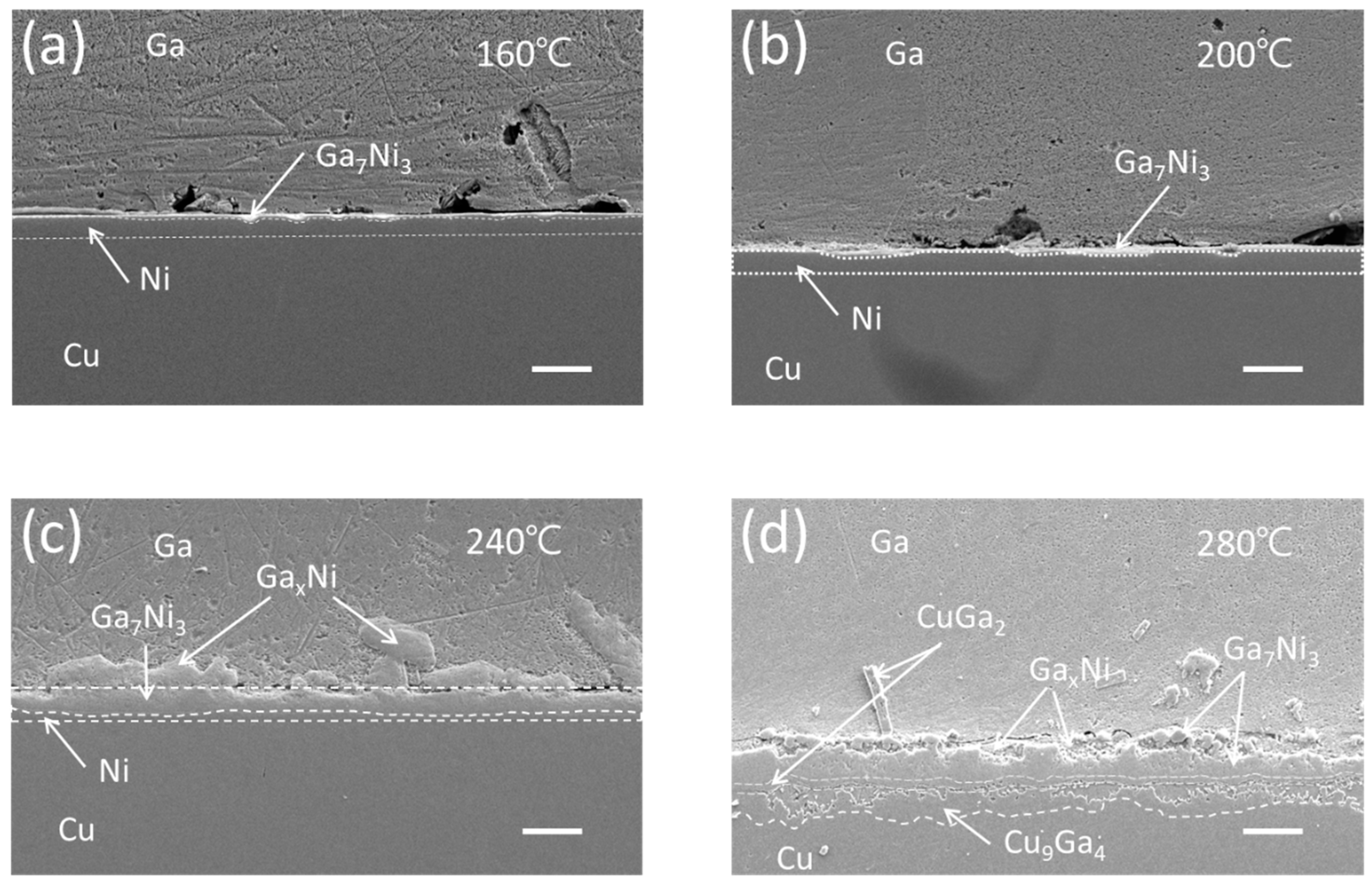 Materials 16 06186 g001