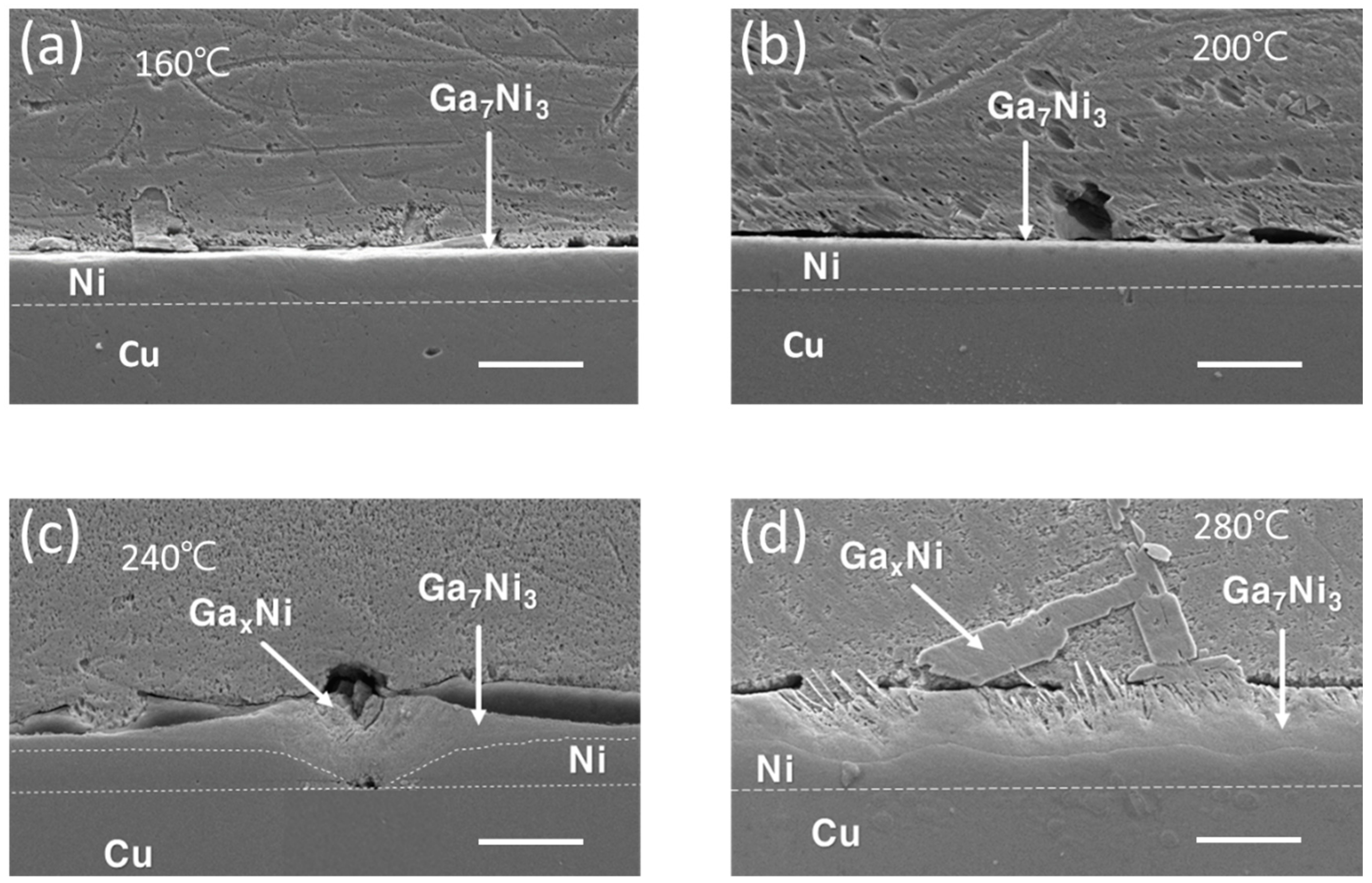 Materials 16 06186 g003