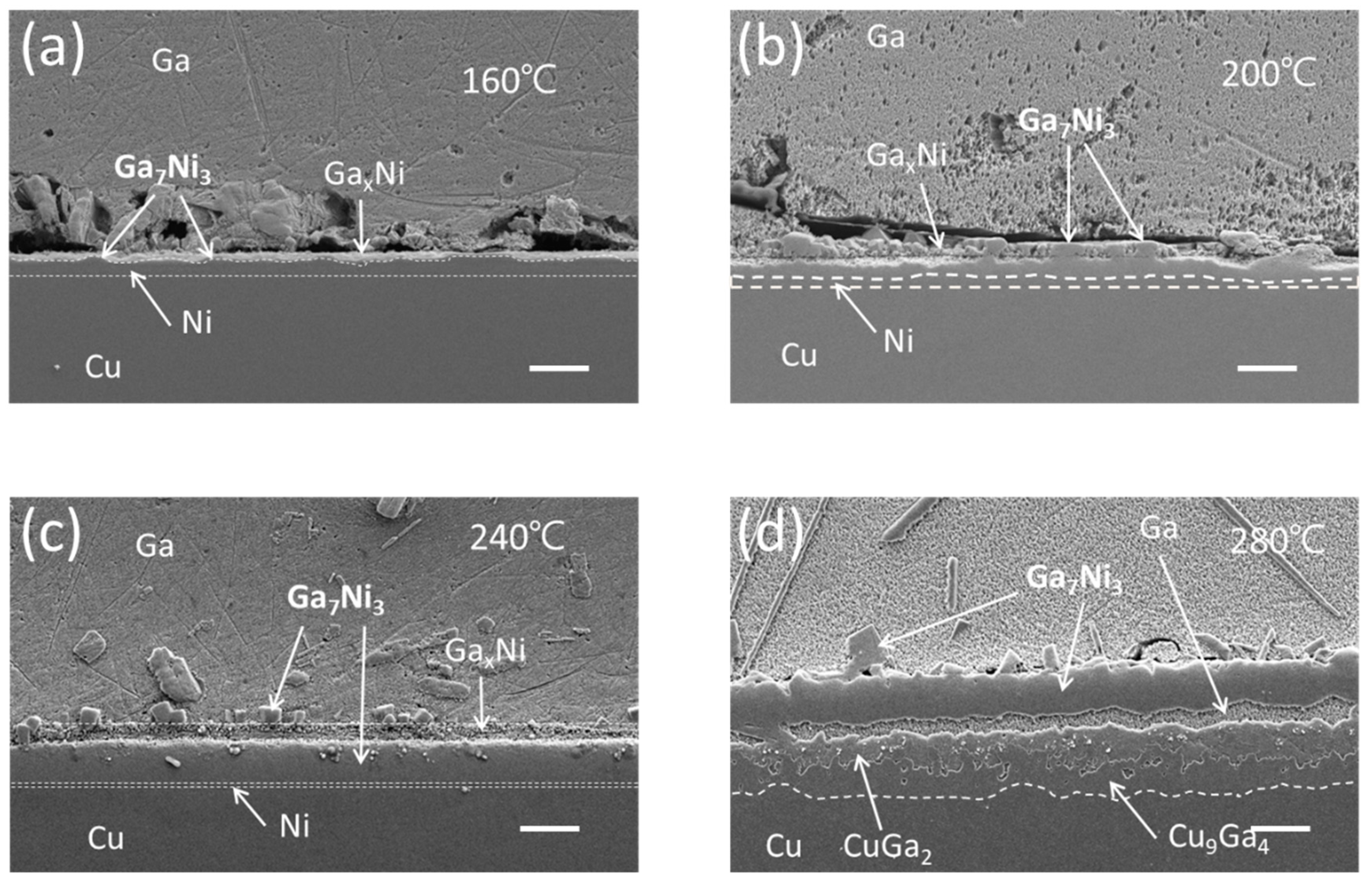 Materials 16 06186 g004