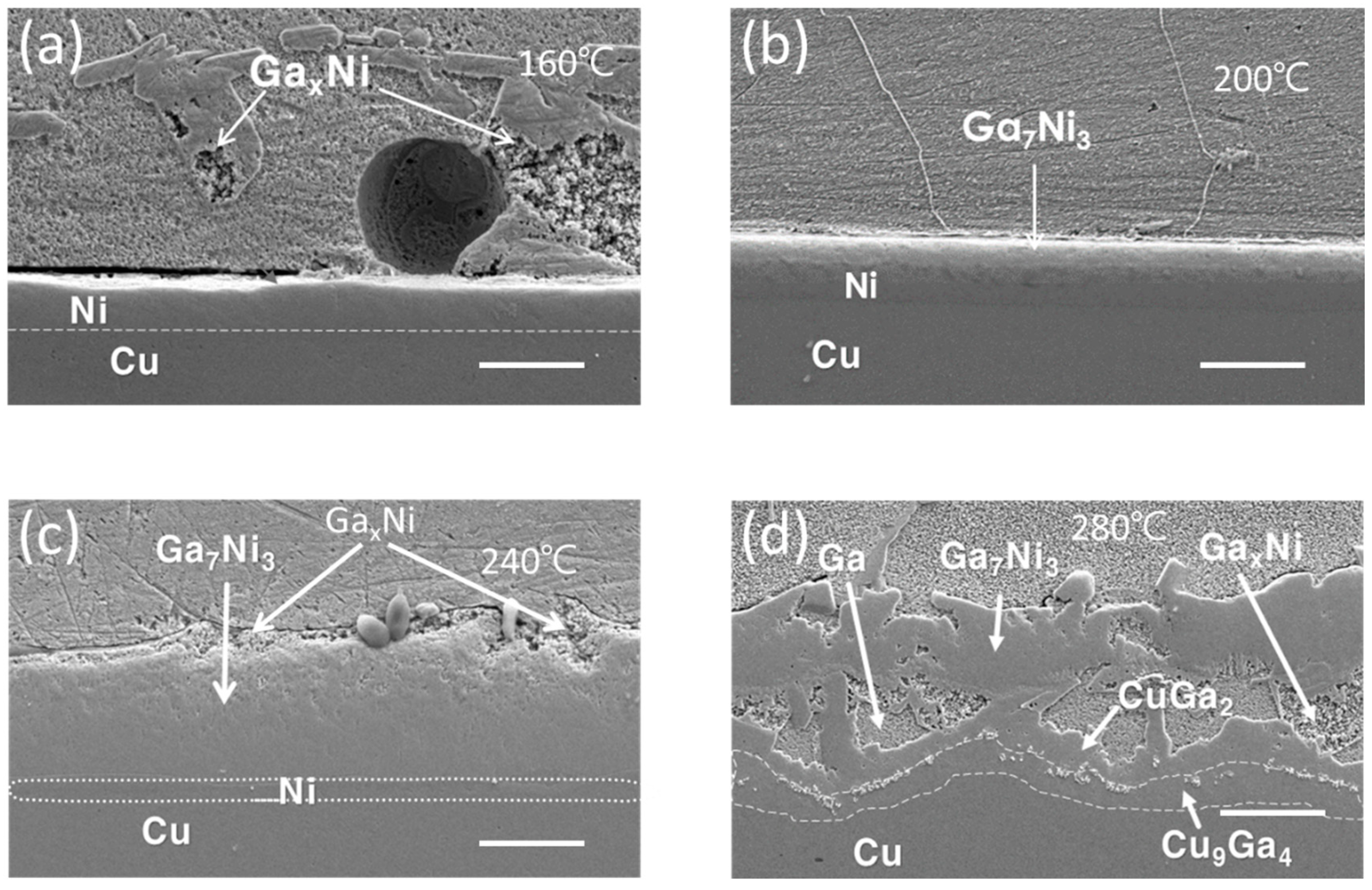 Materials 16 06186 g005