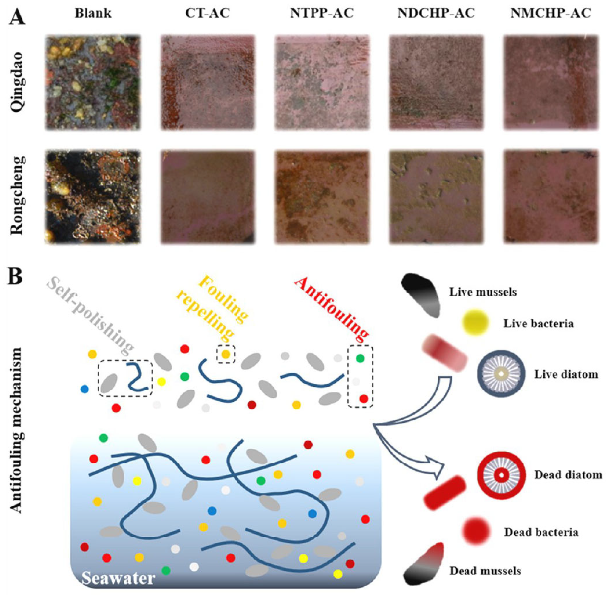Materials 16 06190 g015