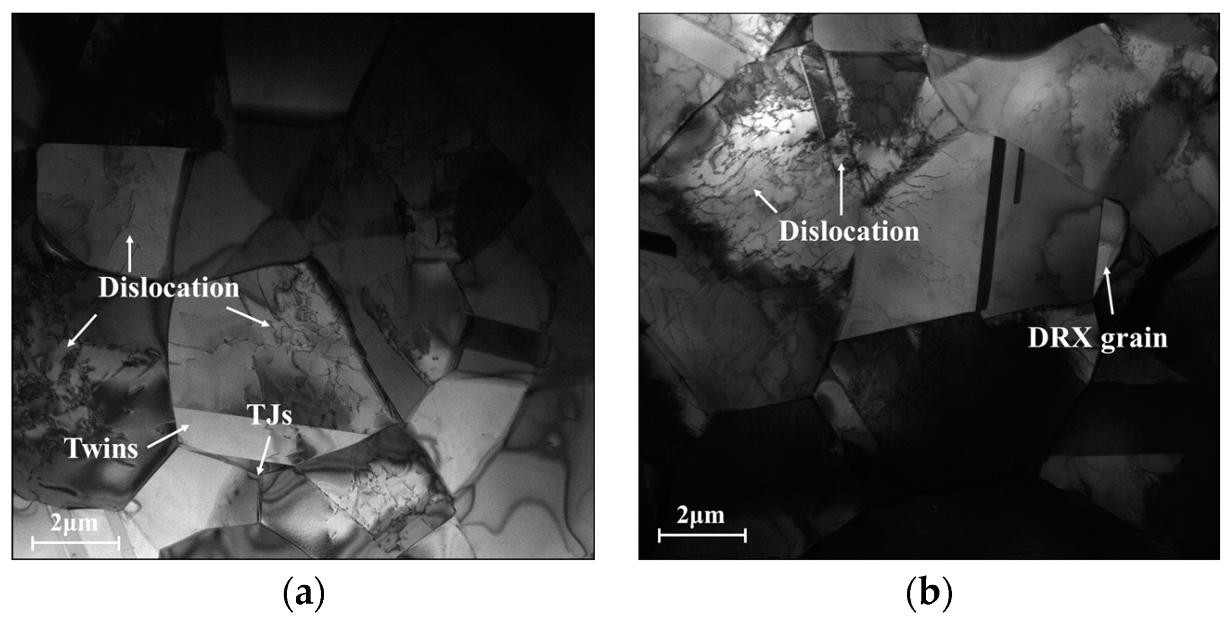 Materials 16 06192 g007