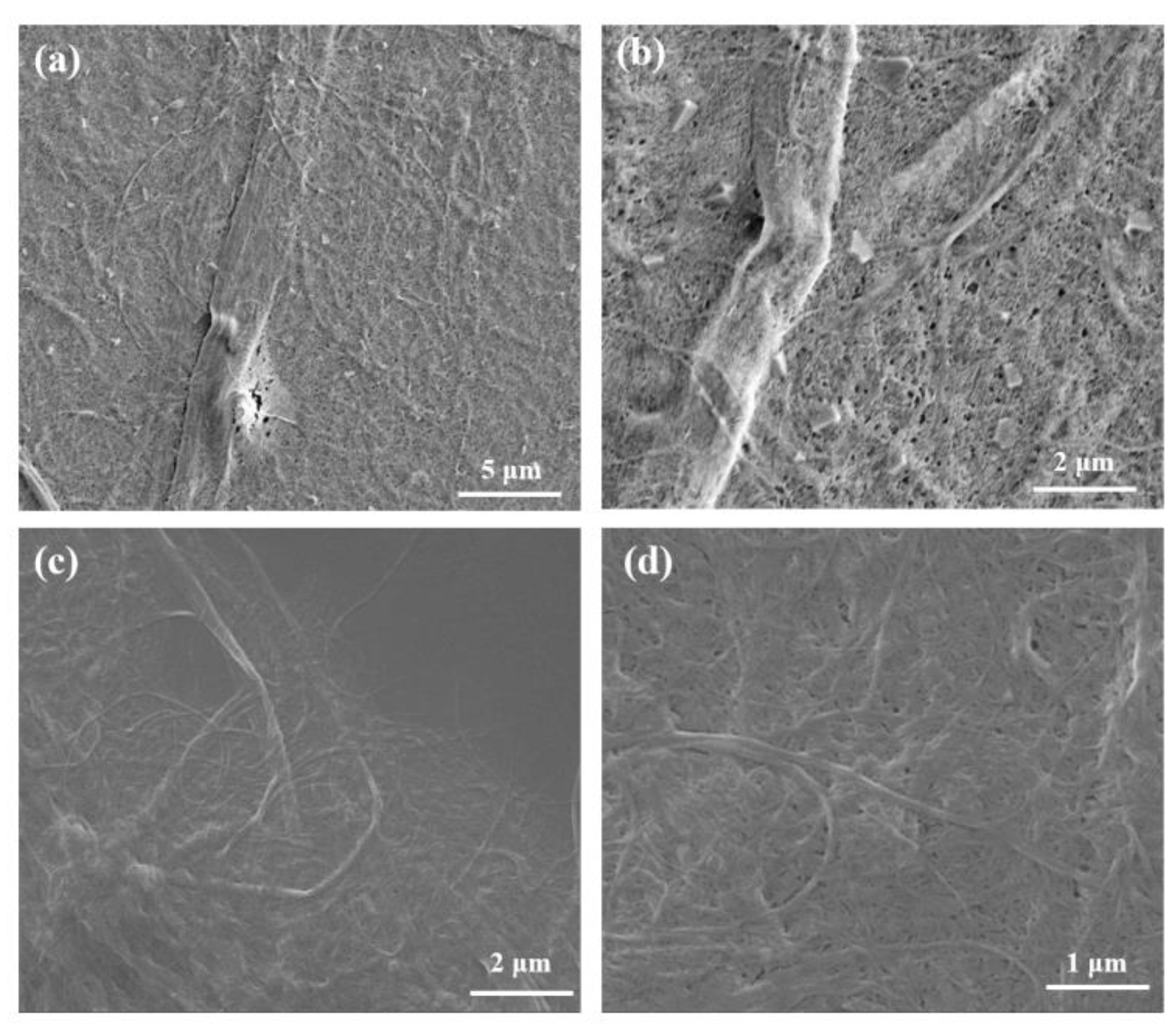 Materials 16 06197 g002