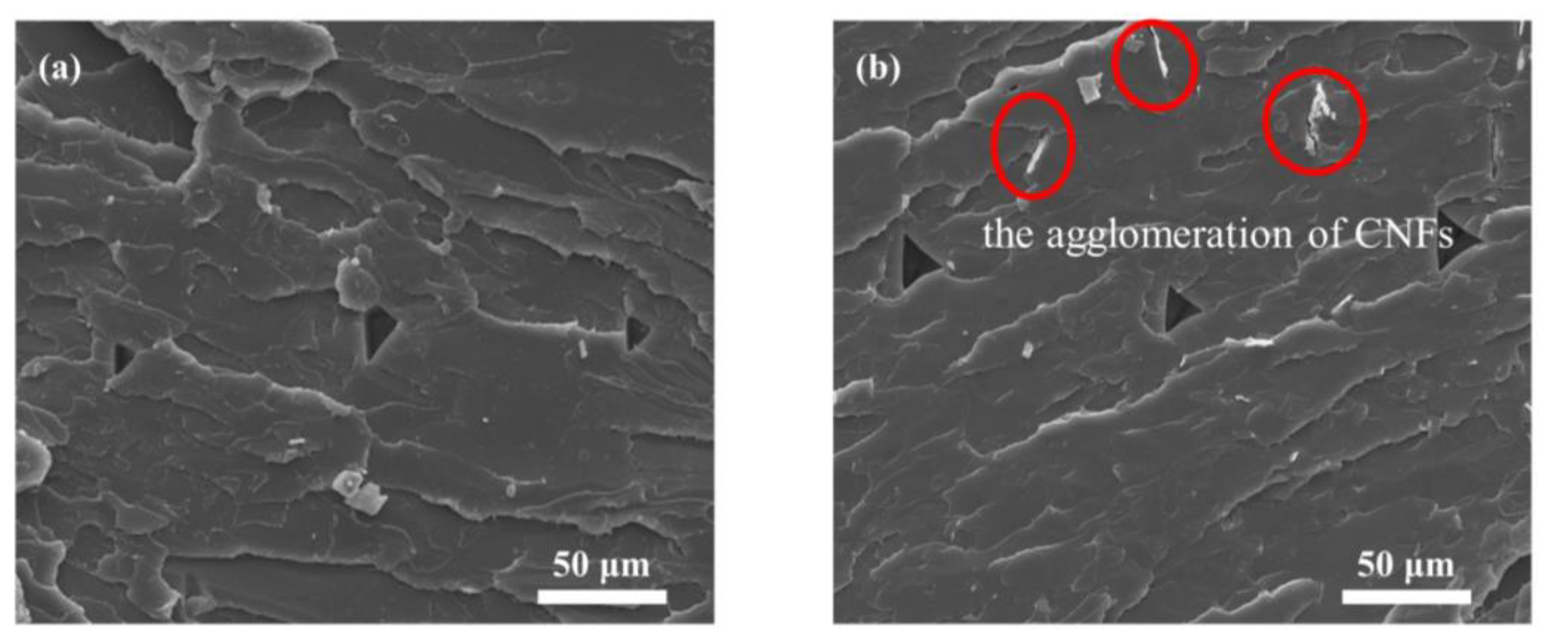 Materials 16 06197 g004