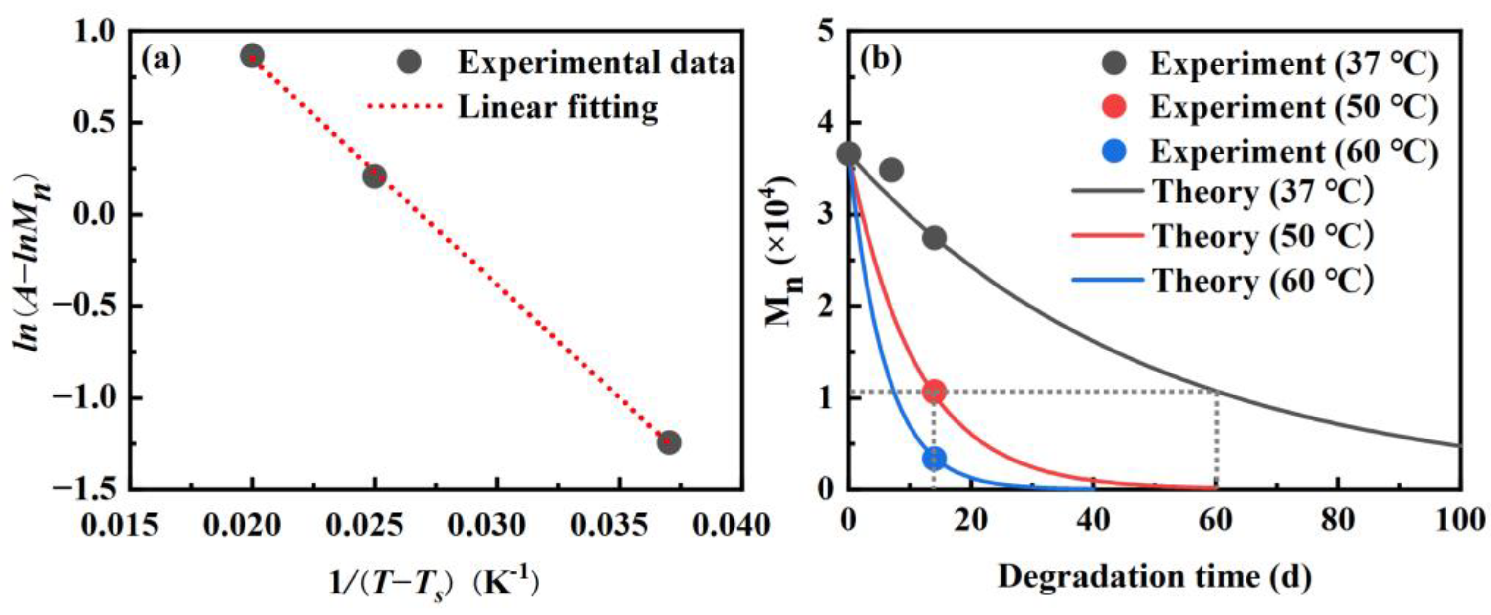 Materials 16 06197 g005