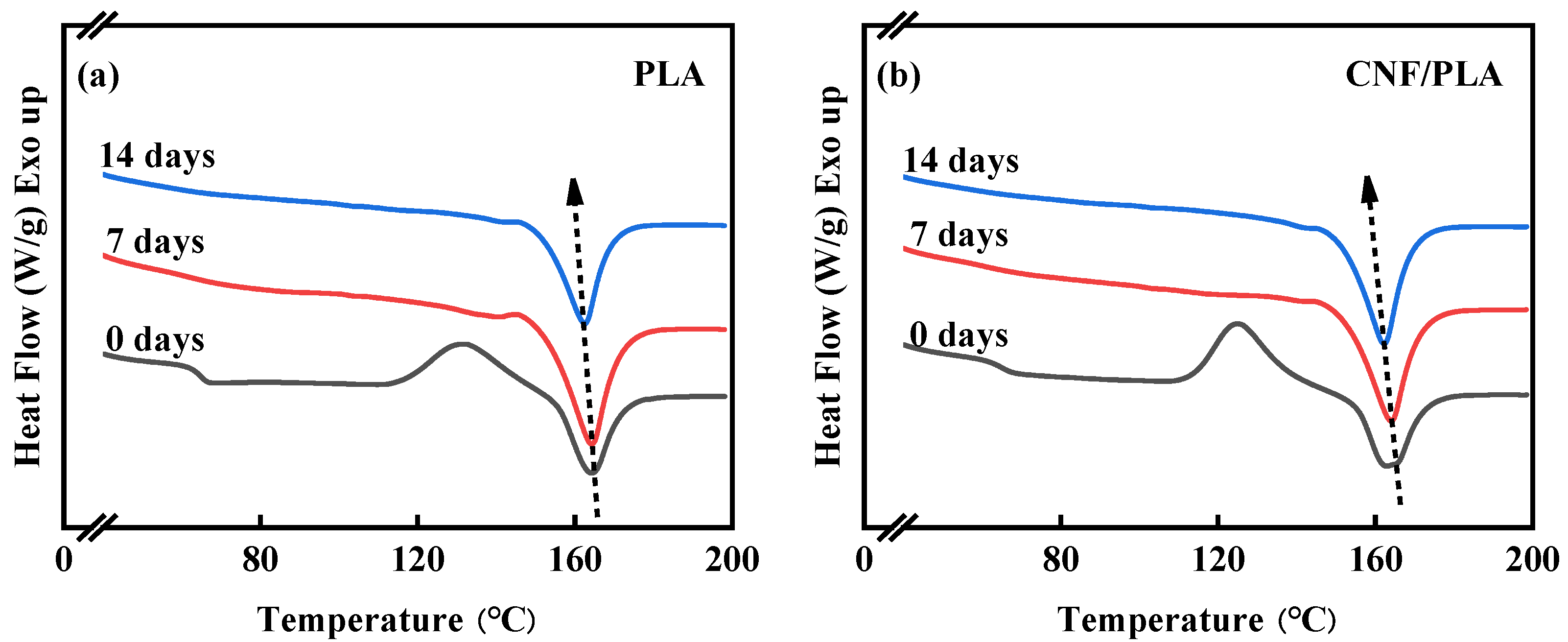 Materials 16 06197 g006