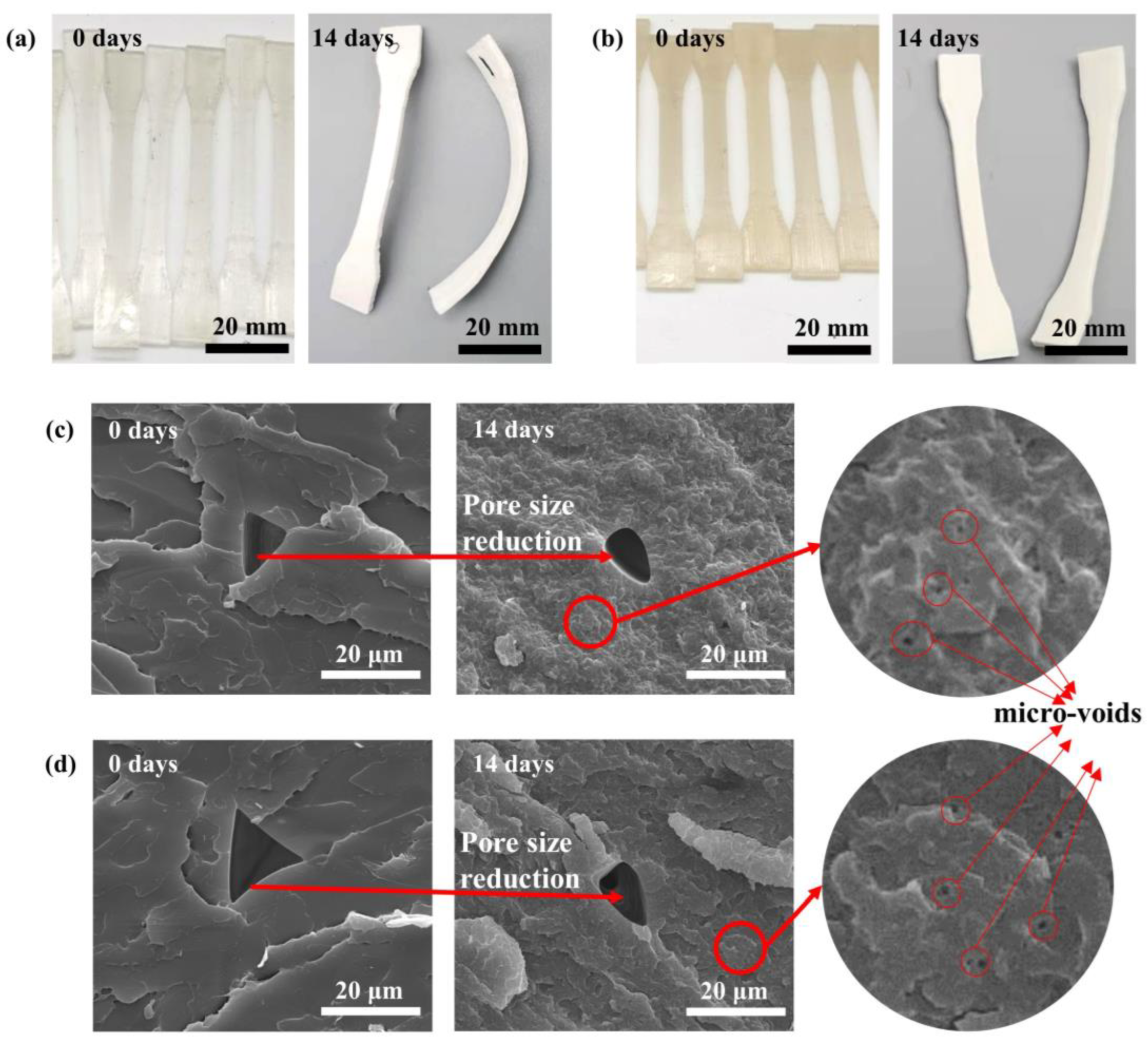 Materials 16 06197 g008
