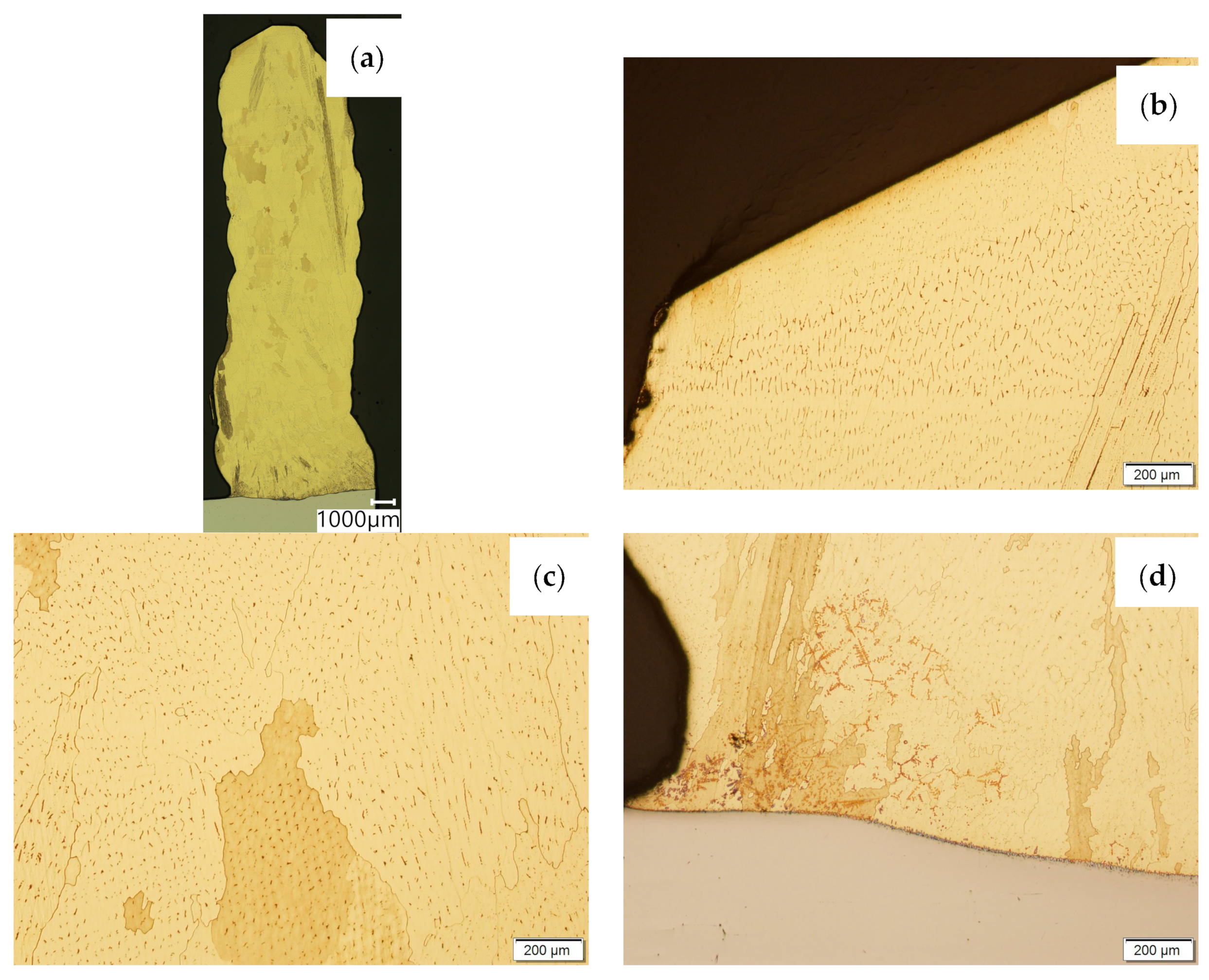 Materials 16 06199 g006