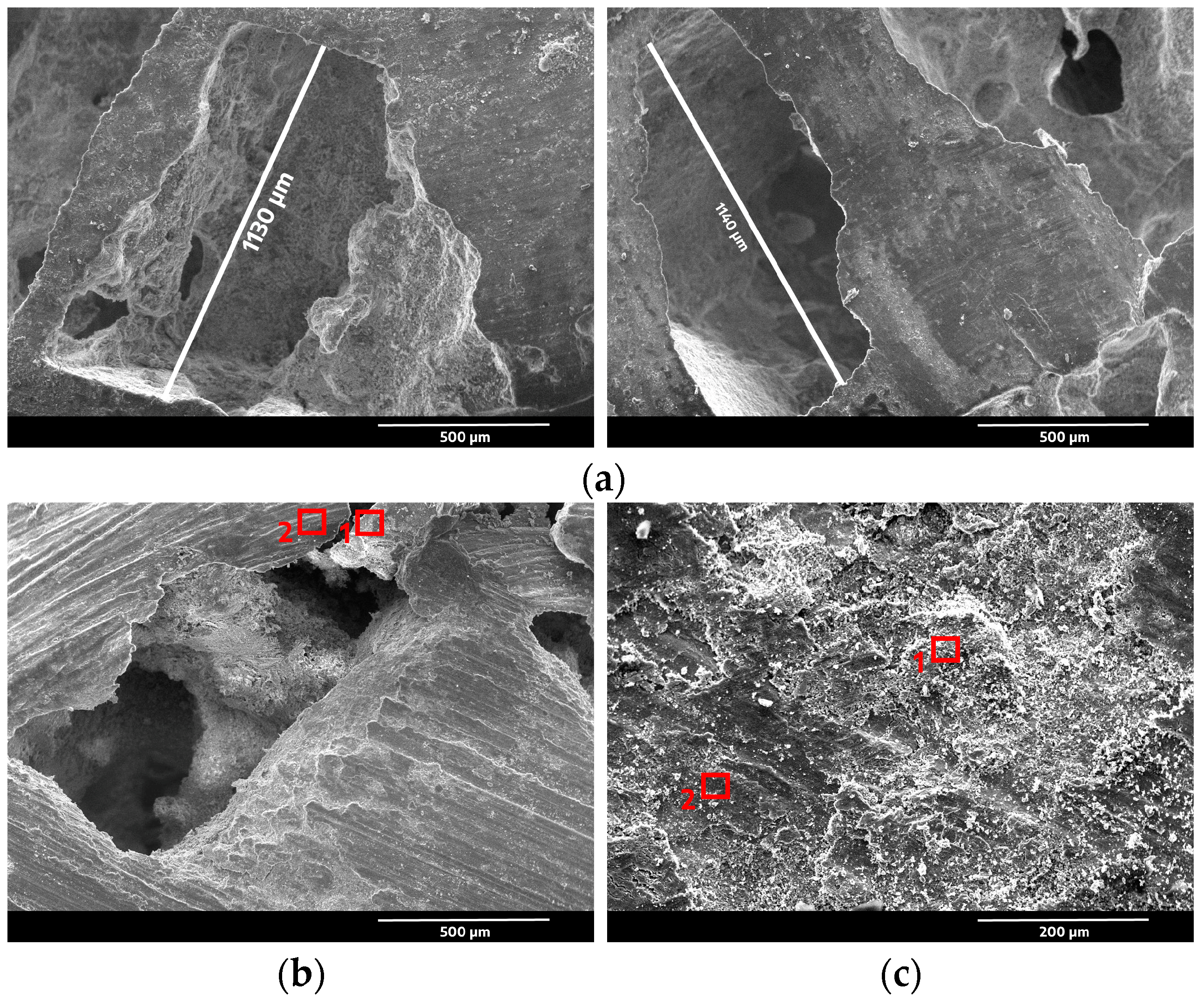 Materials 16 06208 g001