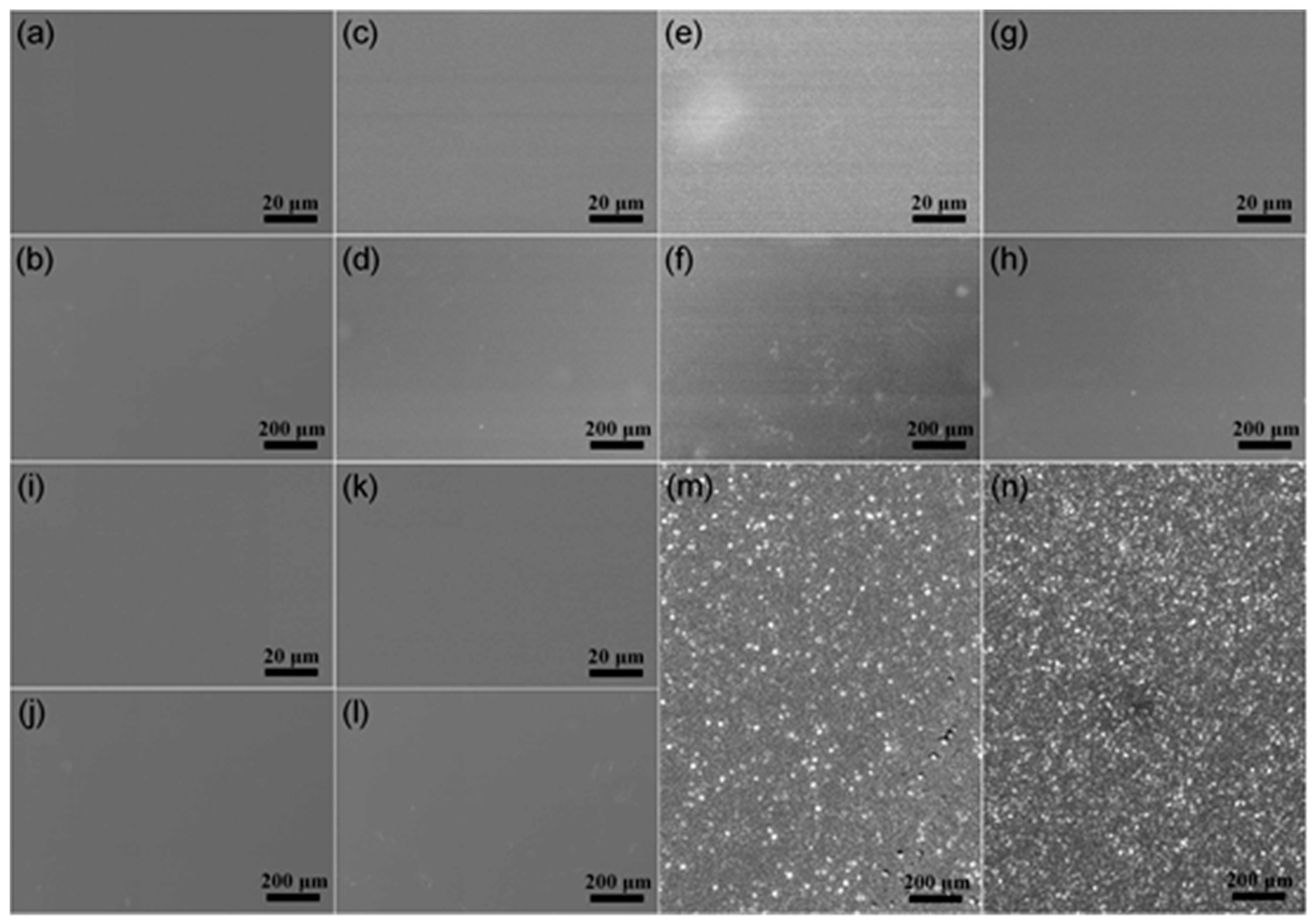 Materials 16 06214 g003