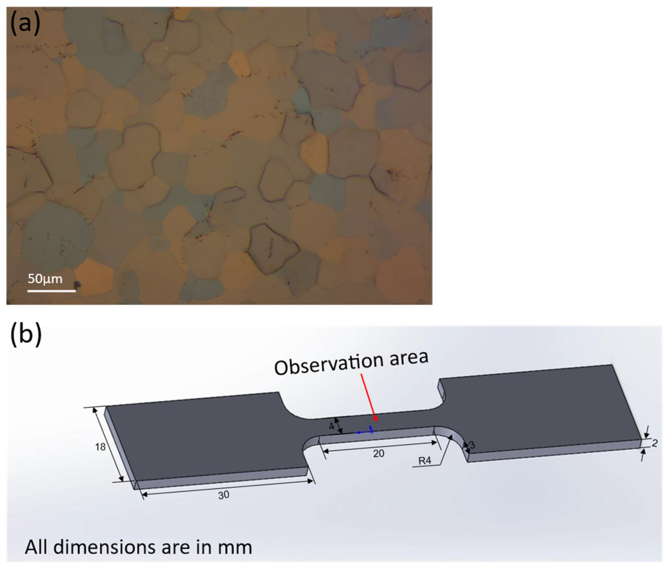 Materials 16 06215 g001