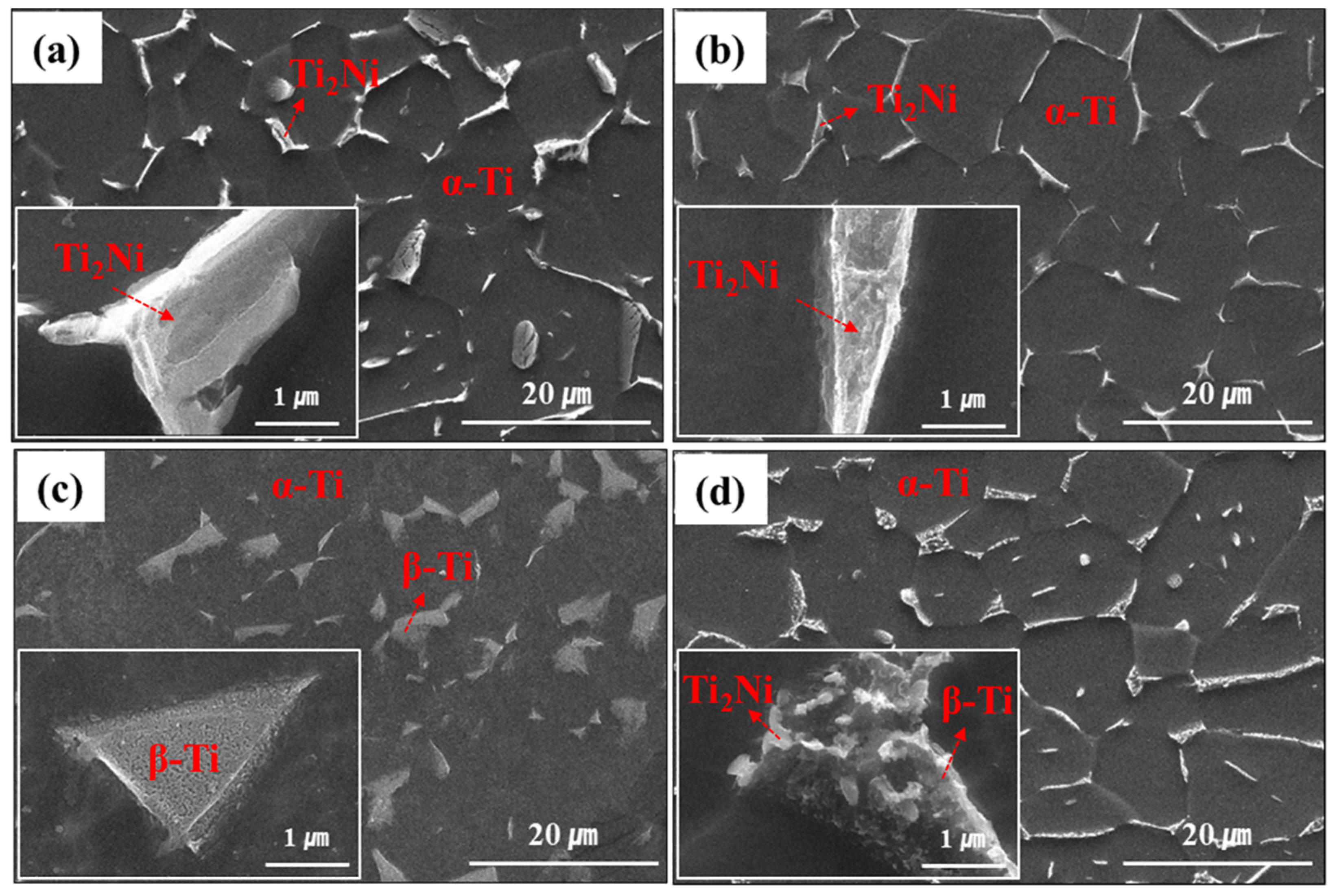 Materials 16 06217 g002