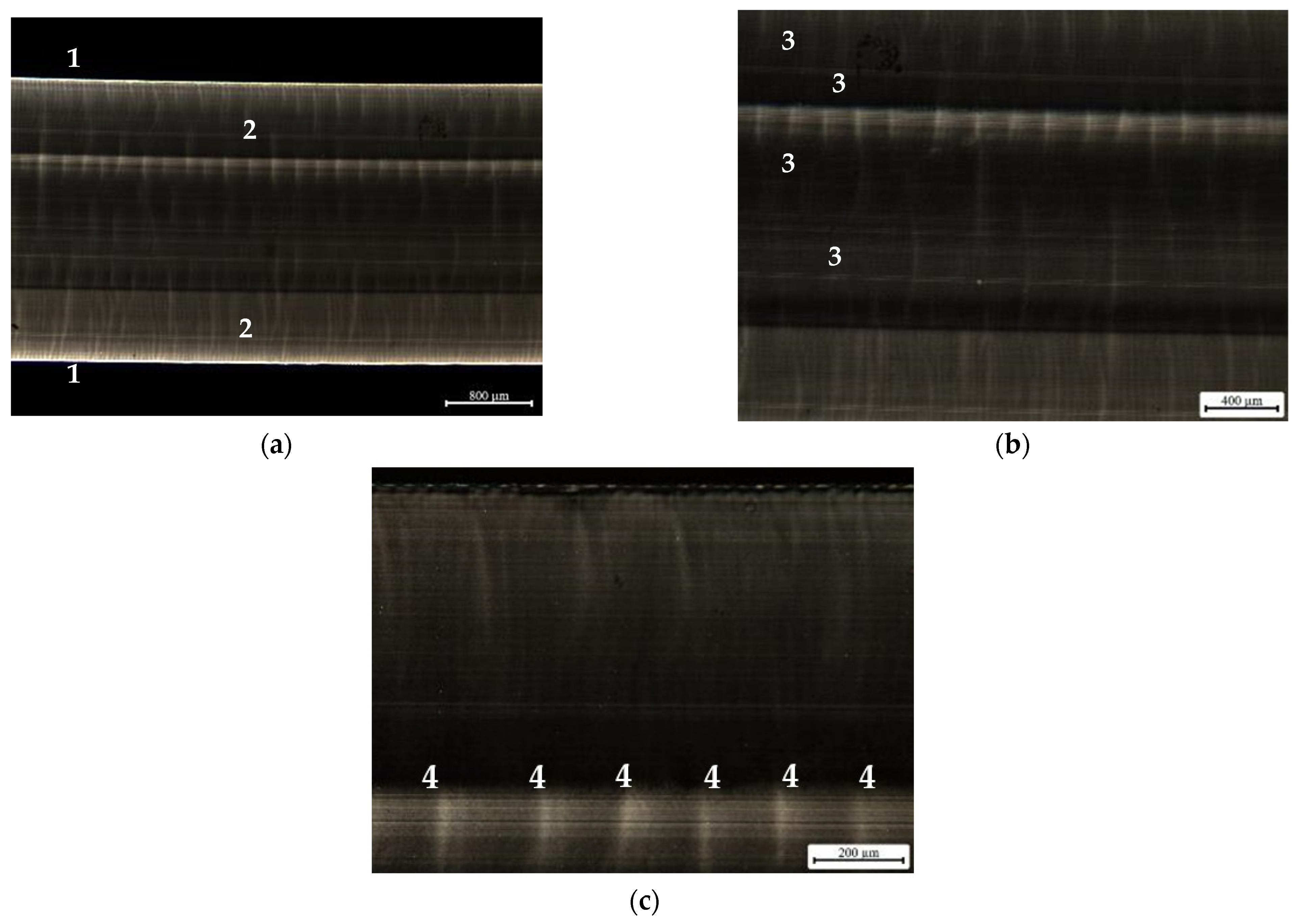 Materials 16 06219 g008 Materials 16 06219 g008