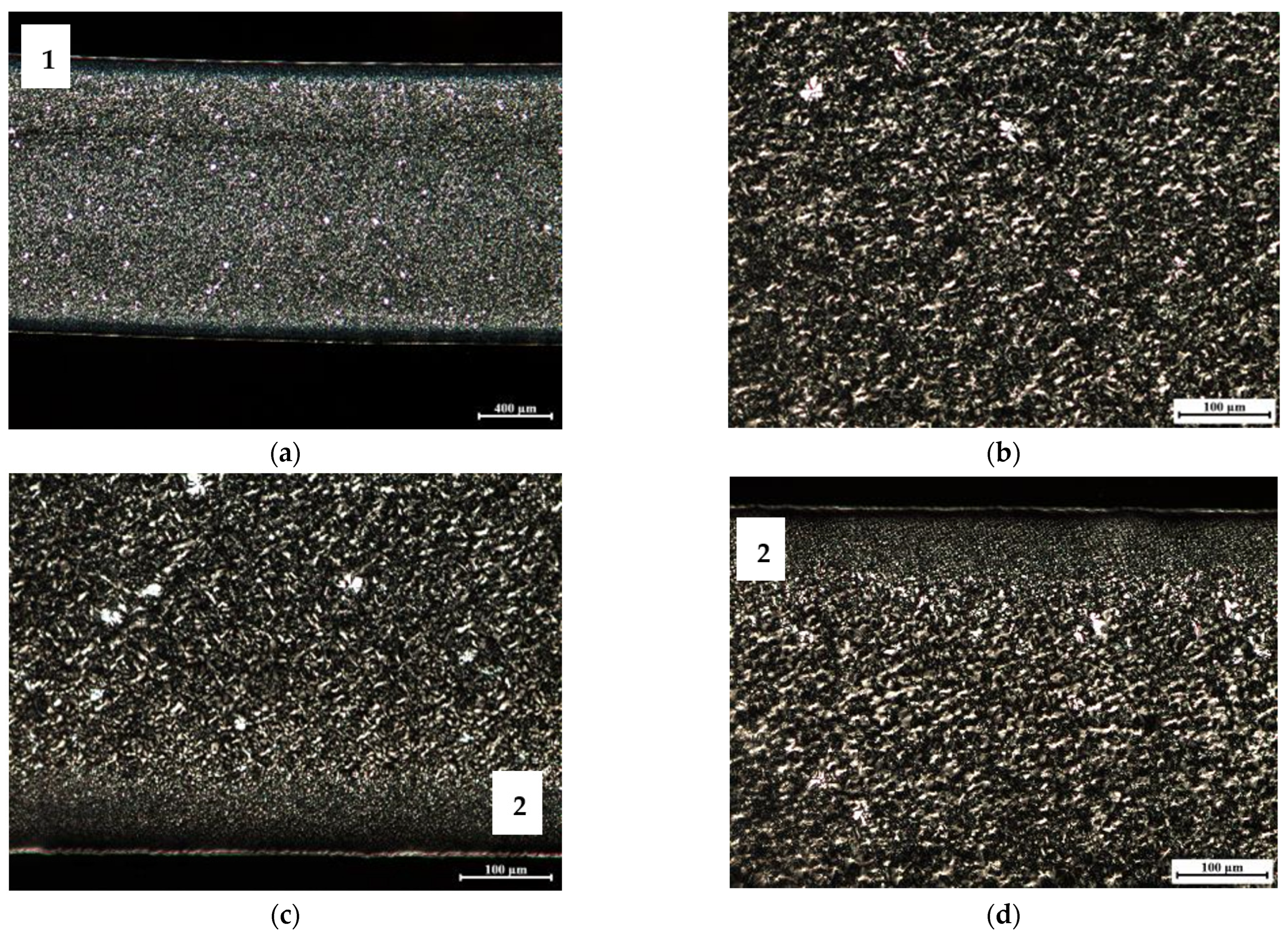 Materials 16 06219 g010 Materials 16 06219 g010
