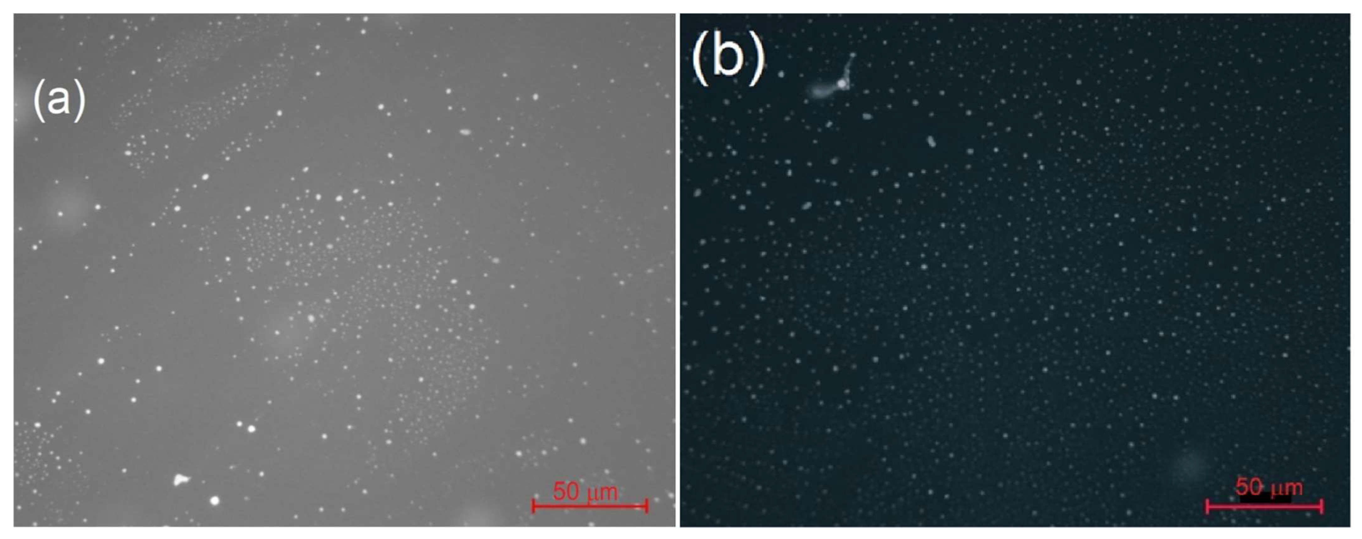 Materials 16 06227 g005