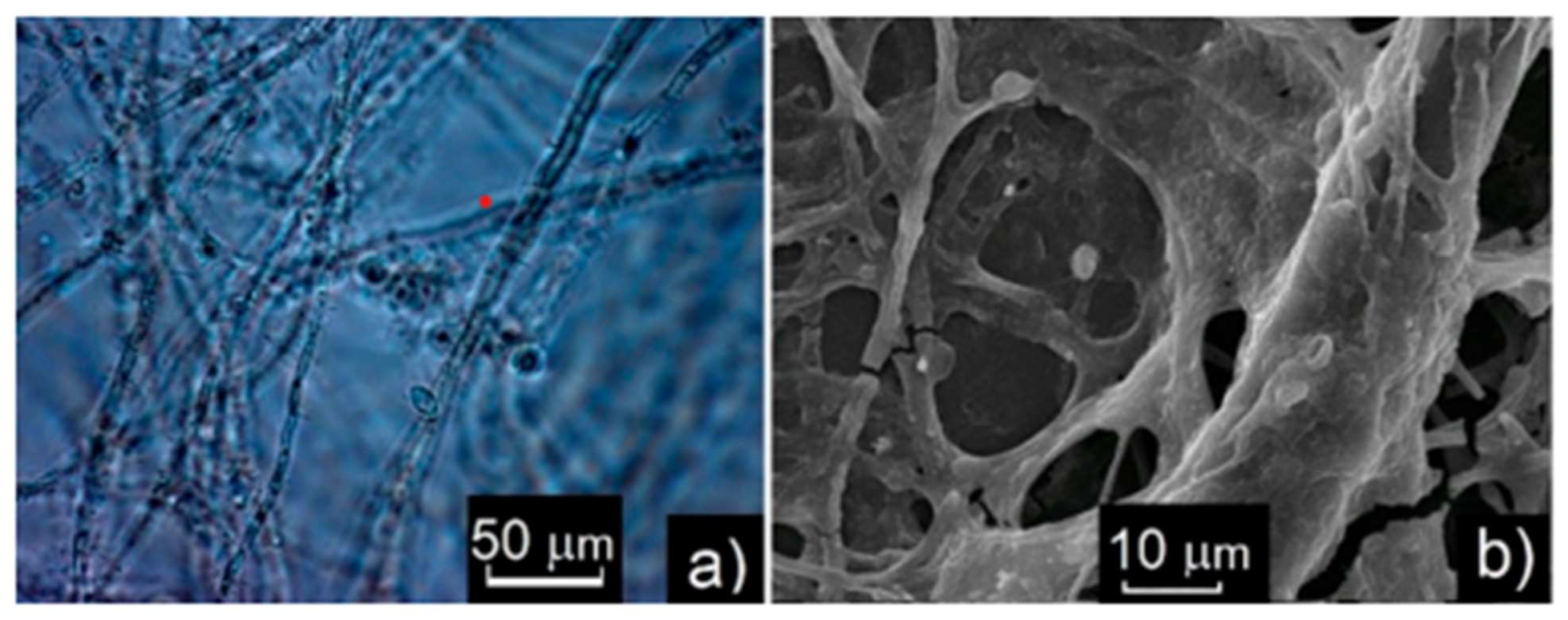 Materials 16 06227 g008