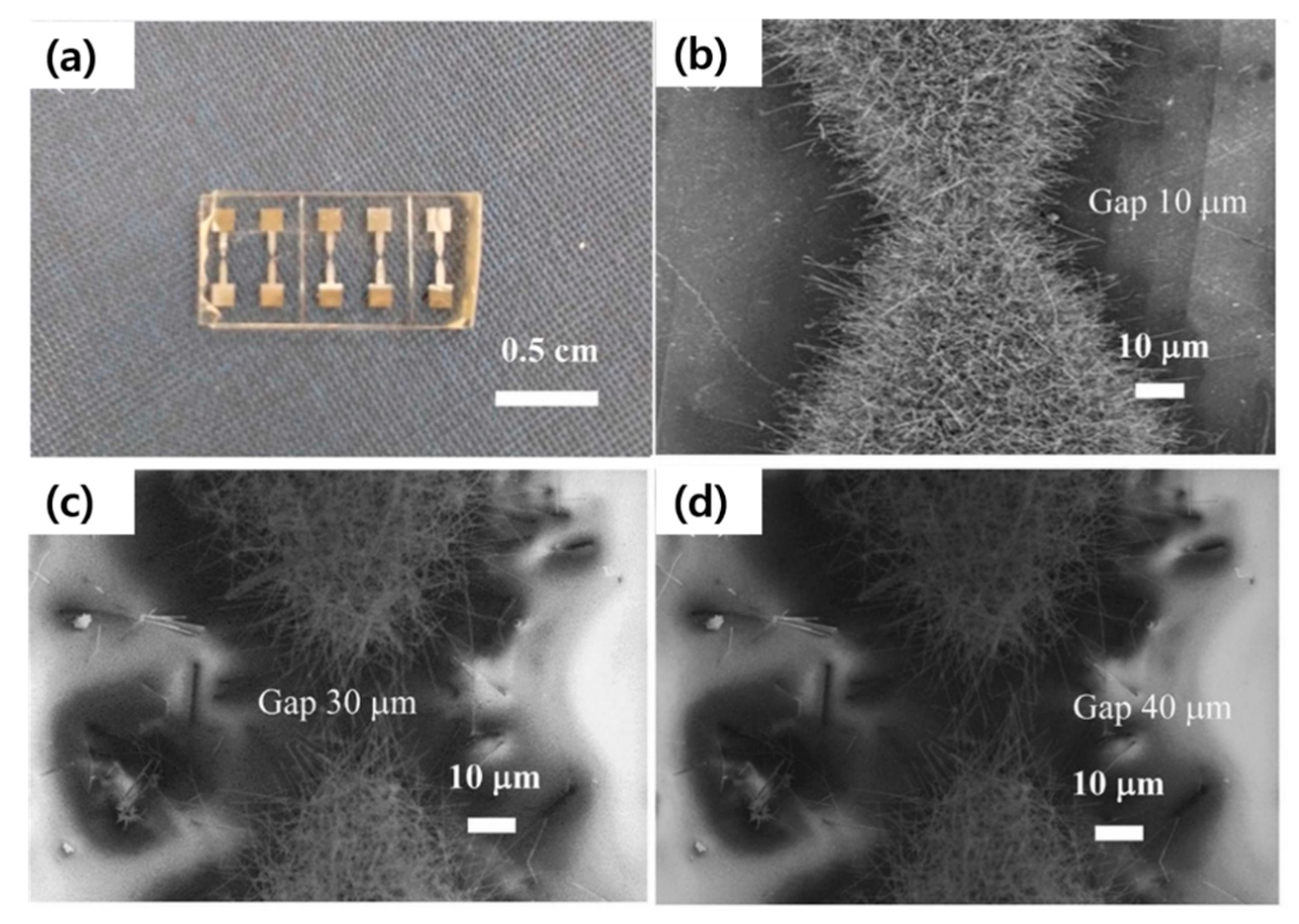 Materials 16 06233 g014