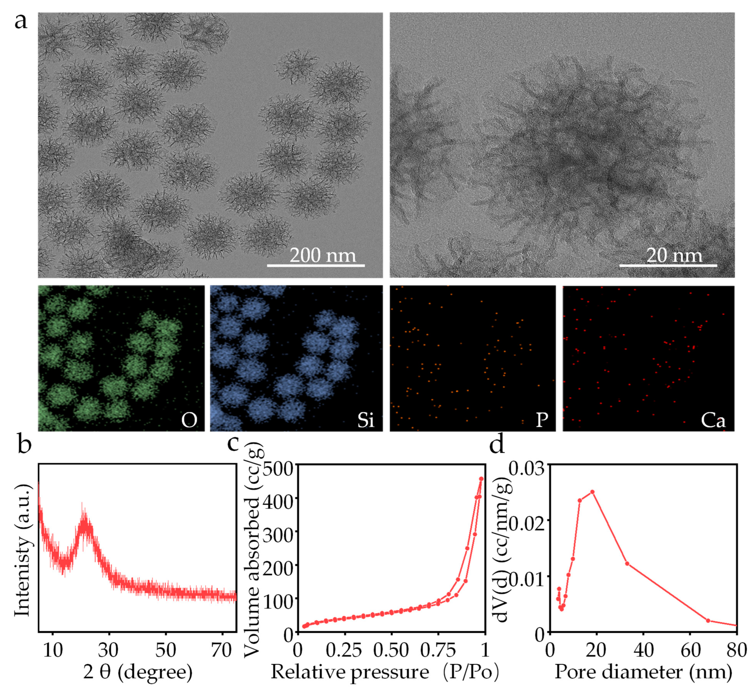 Materials 16 06248 g002