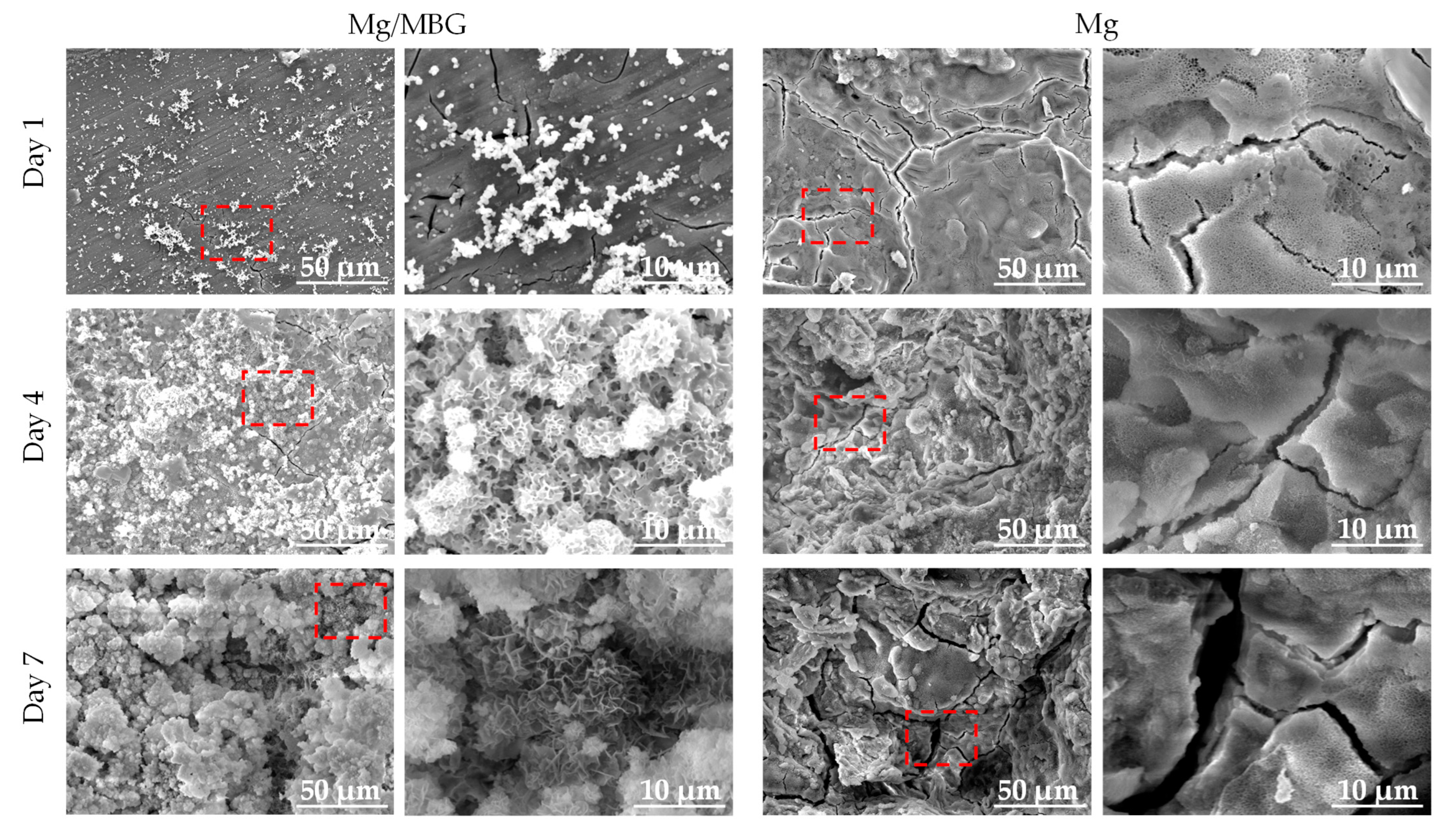 Materials 16 06248 g005