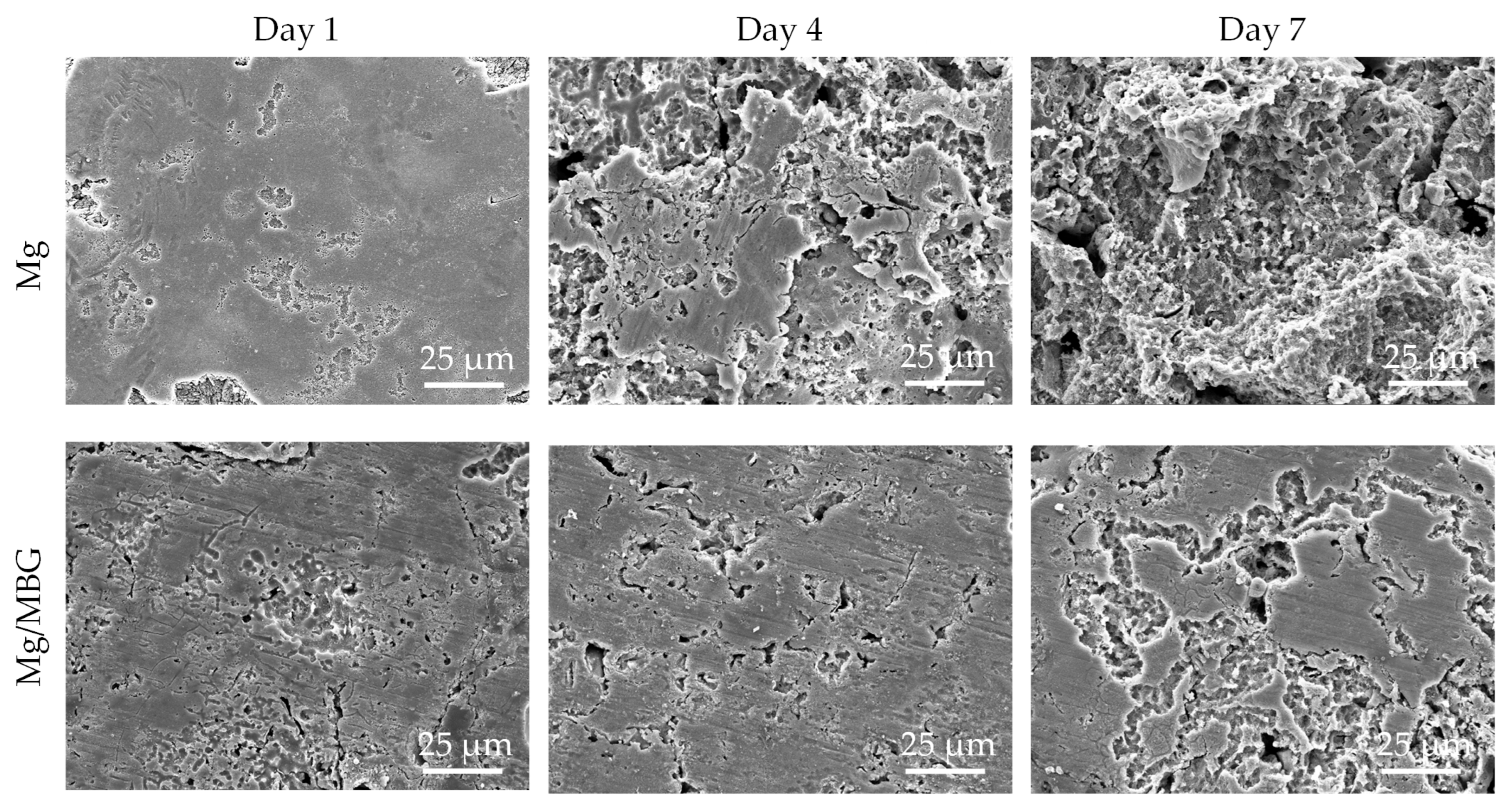 Materials 16 06248 g007