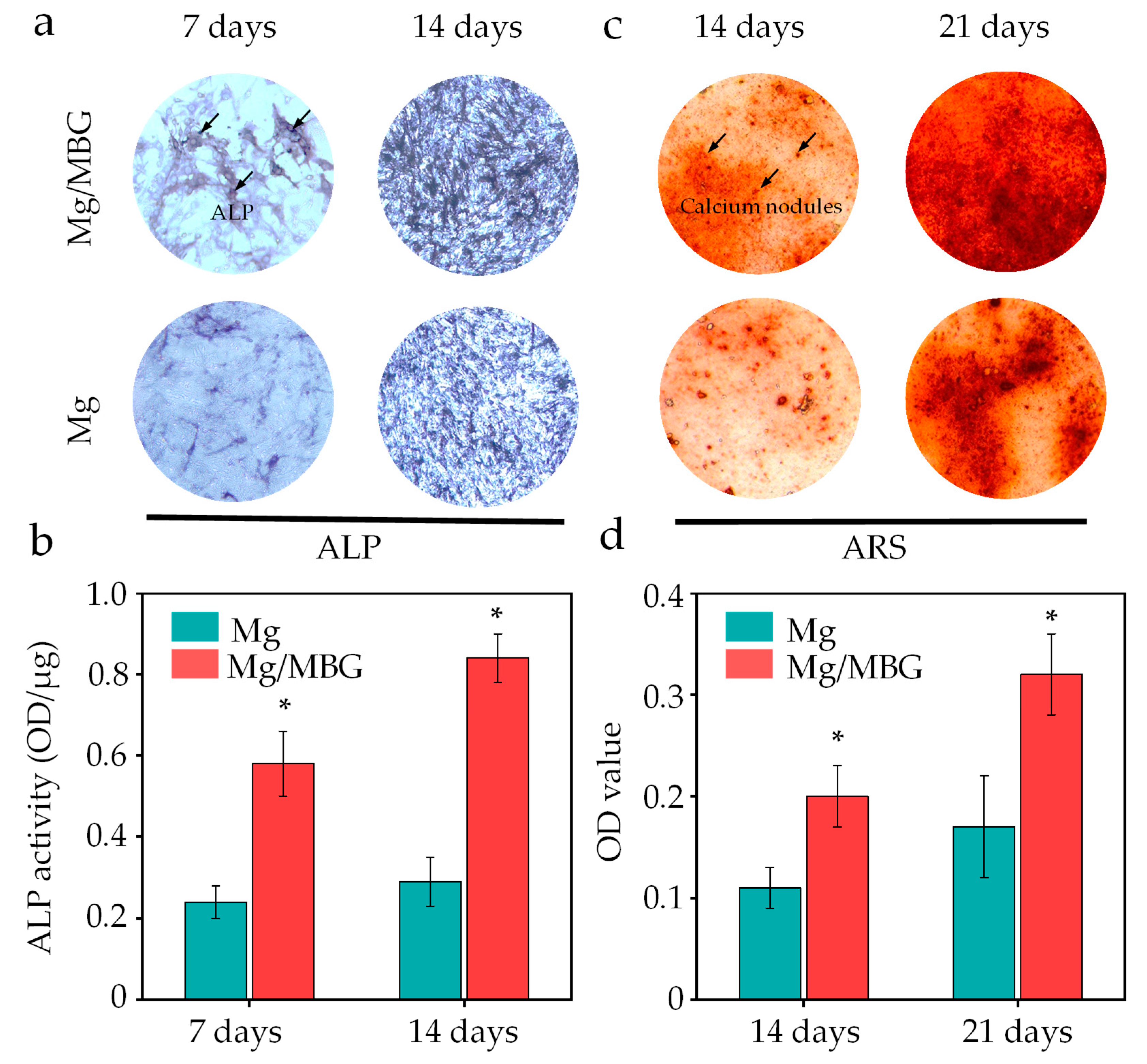 Materials 16 06248 g010